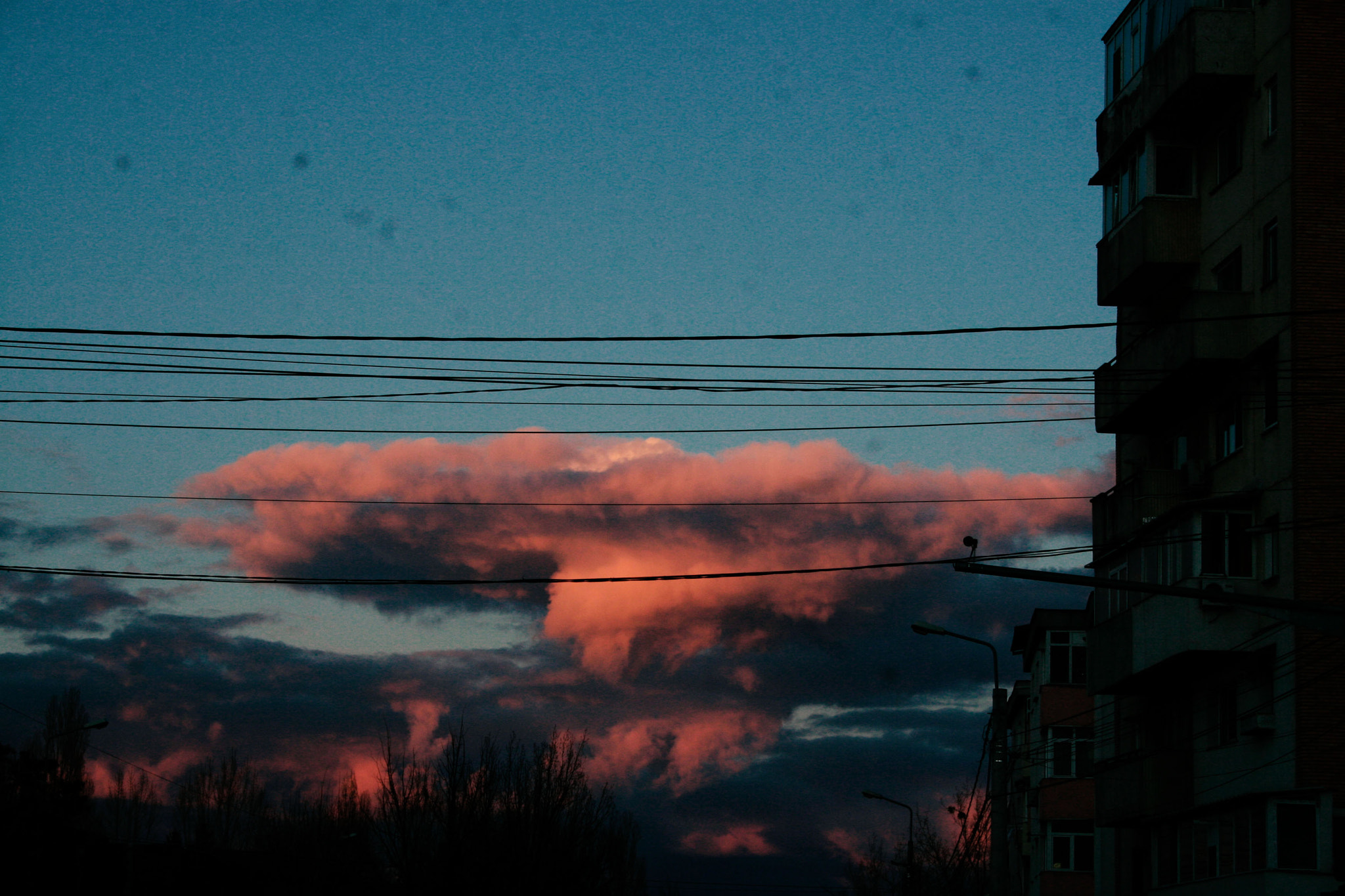 Canon EF-S 18-55mm F3.5-5.6 sample photo. Catched my eye photography