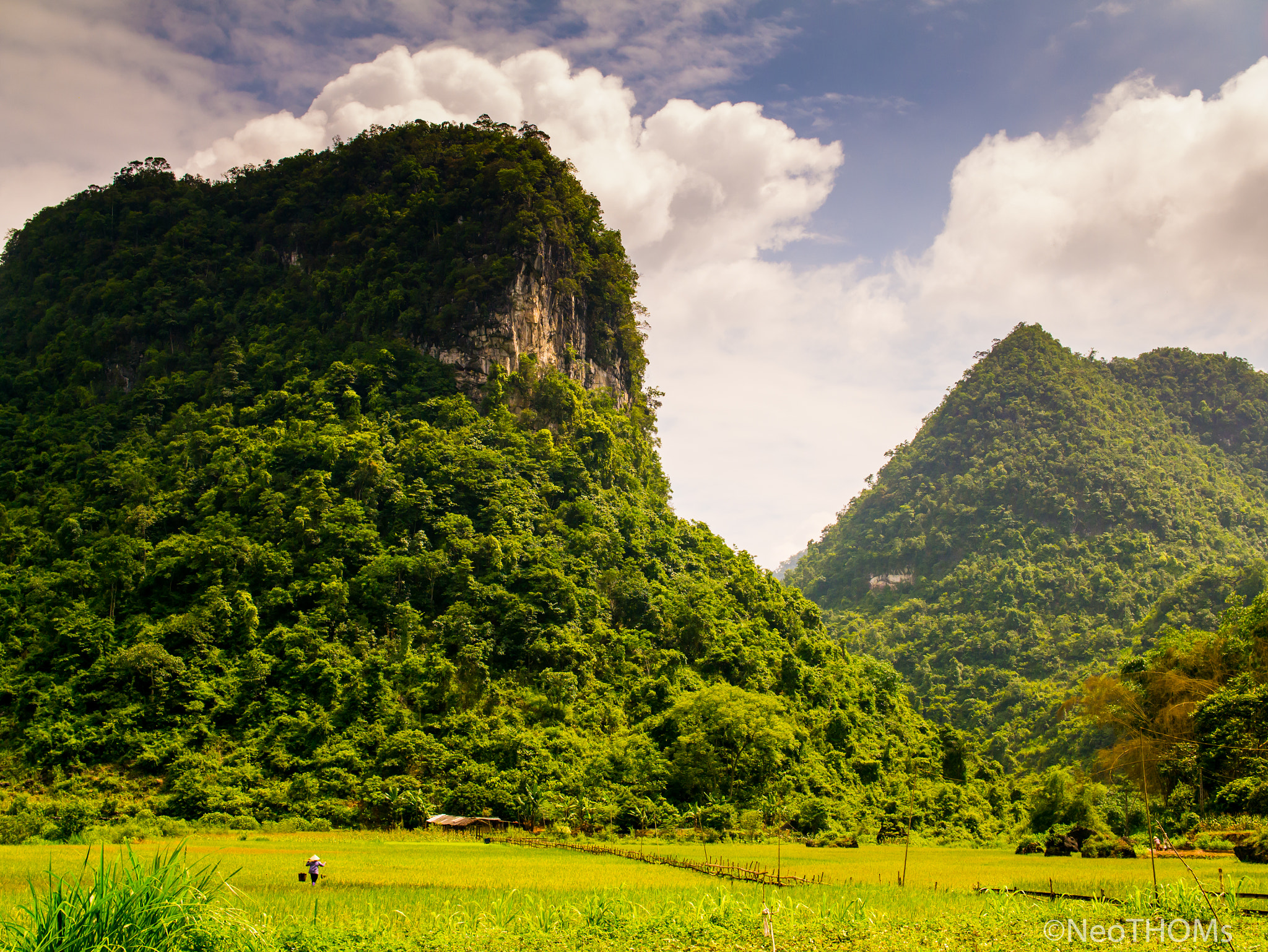 Panasonic Lumix DMC-GF6 + Olympus M.Zuiko Digital 25mm F1.8 sample photo. Rice fields in mountains photography