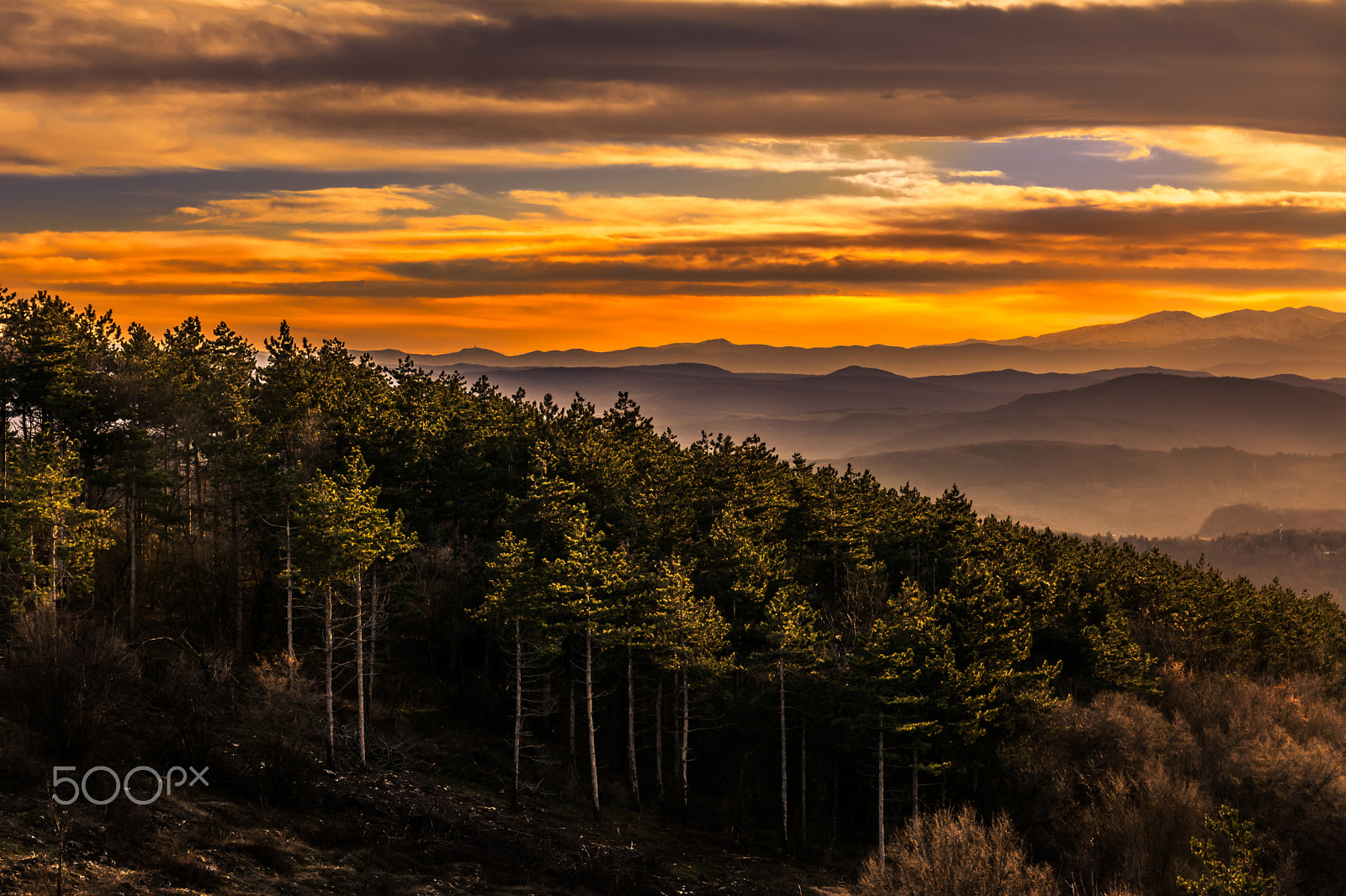 Sigma 17-70mm F2.8-4 DC Macro OS HSM | C sample photo. Beautiful ending photography