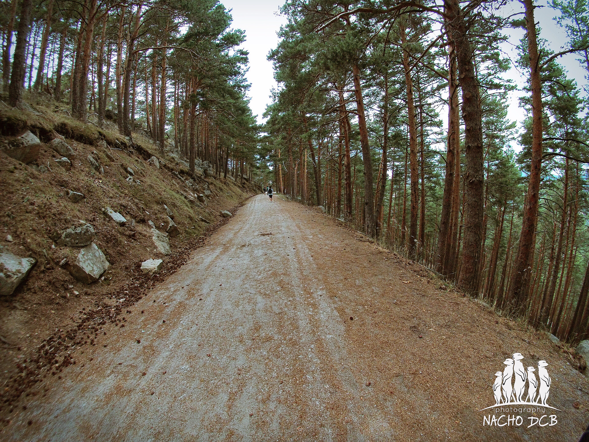 GoPro Hero3-Silver Edition sample photo. Lejos? photography