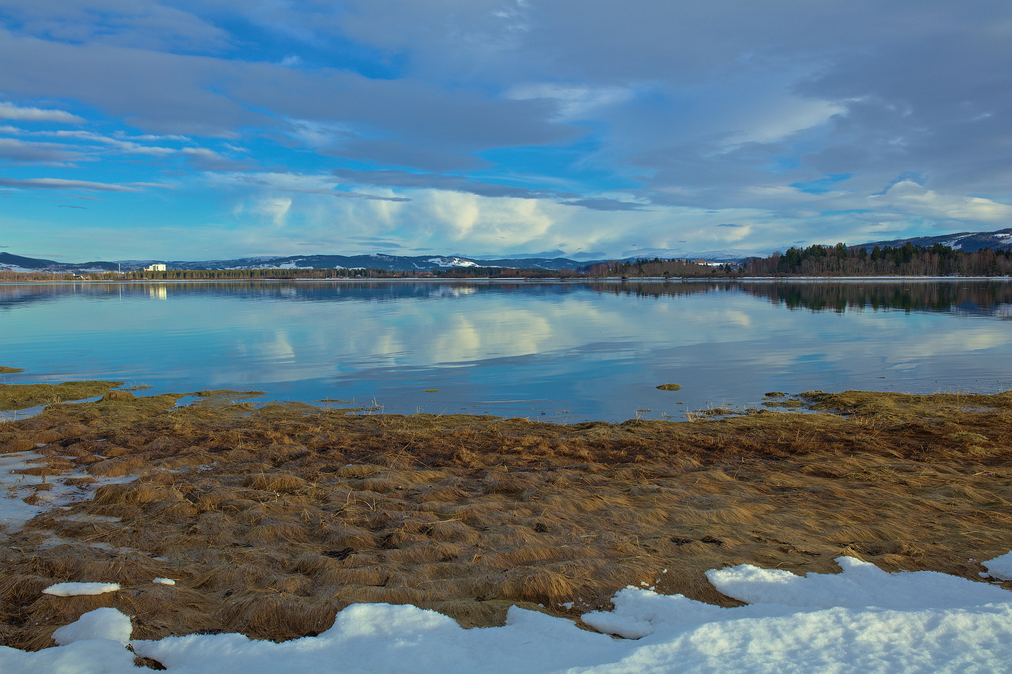 Sigma 35mm F1.4 DG HSM Art sample photo. Below snow level photography