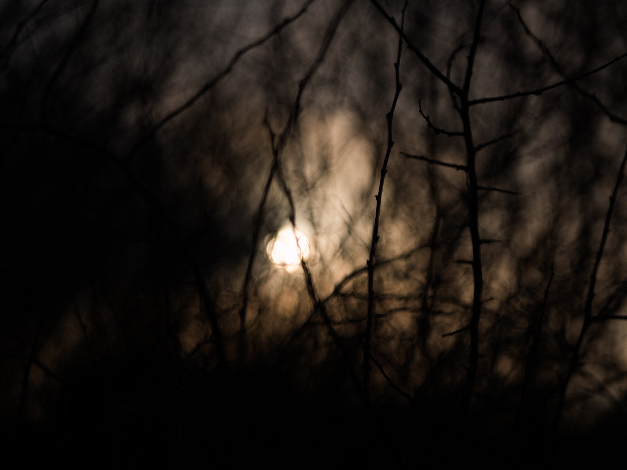 Panasonic Lumix DMC-GH4 sample photo. Opening photography