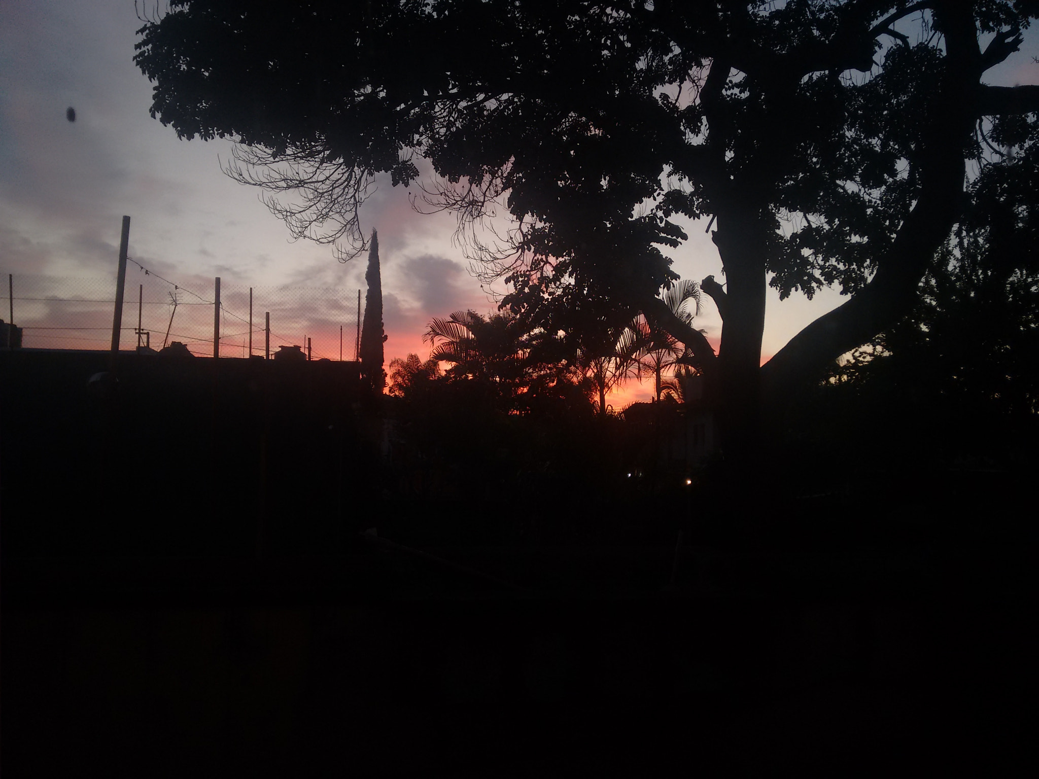 Motorola XT1063 sample photo. Nice! <3 photography