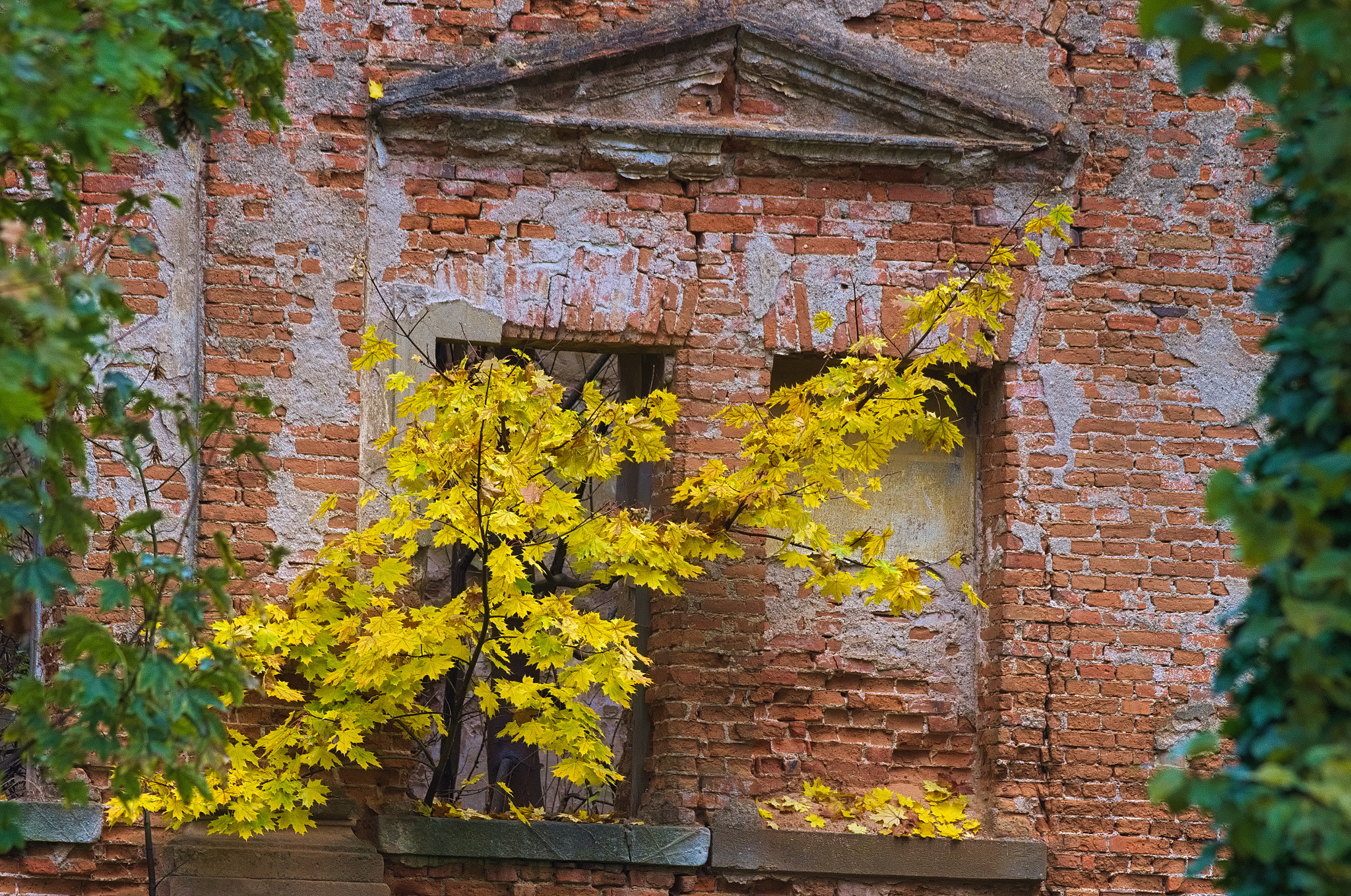 Pentax K-5 sample photo. Ruin of rząśnik palace photography