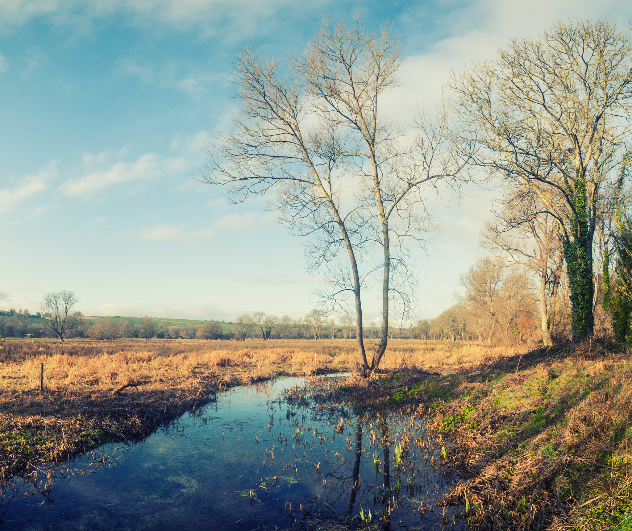 Canon EOS-1D Mark III sample photo. Winter sunshine, salisbury photography