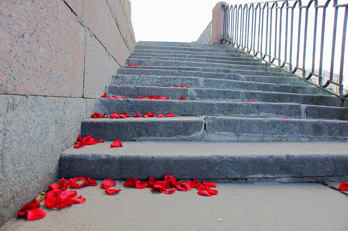 Sony SLT-A33 sample photo. The echo of love. photography