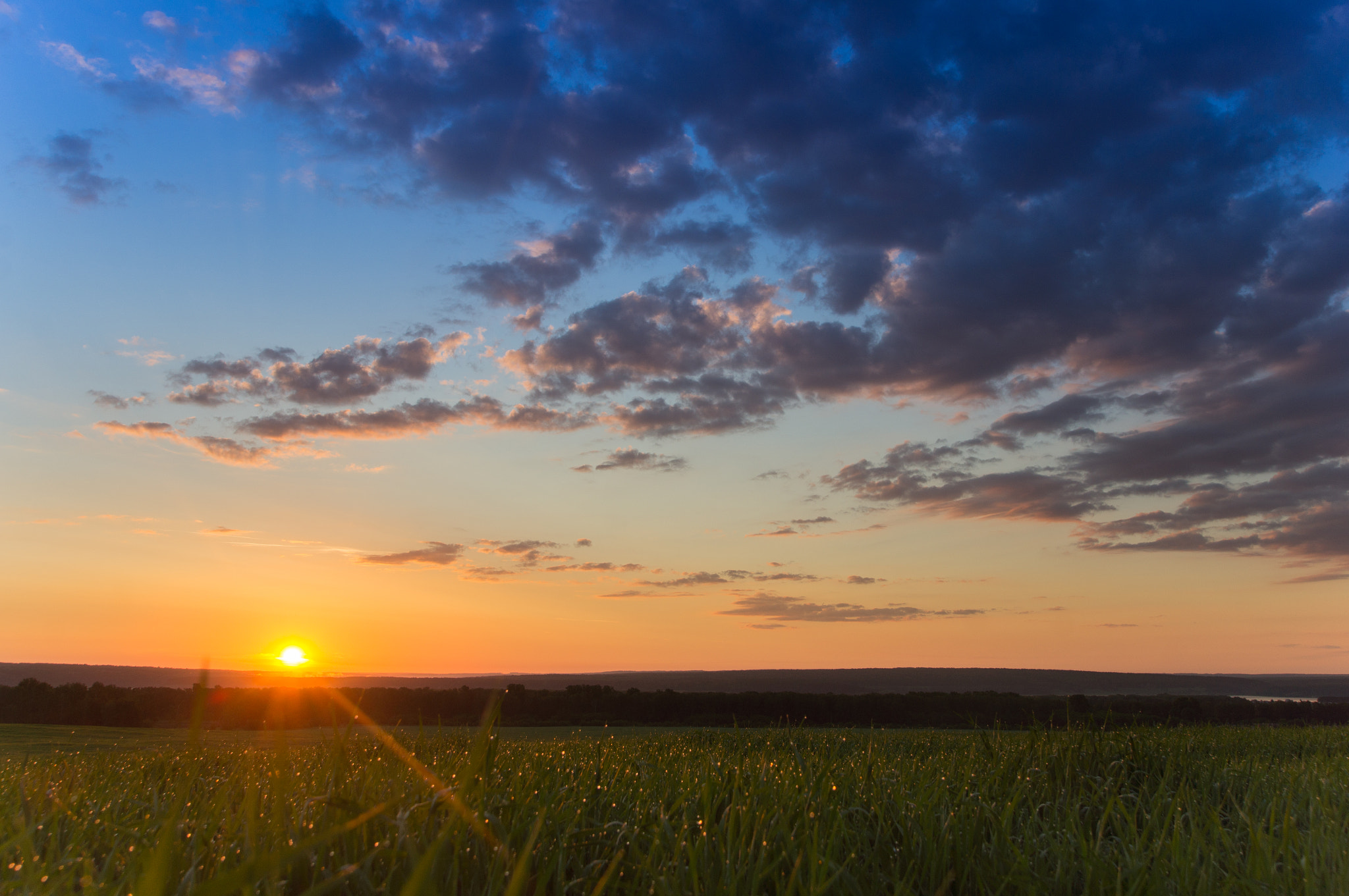 Sony Alpha DSLR-A580 sample photo. The first rays of the sun photography