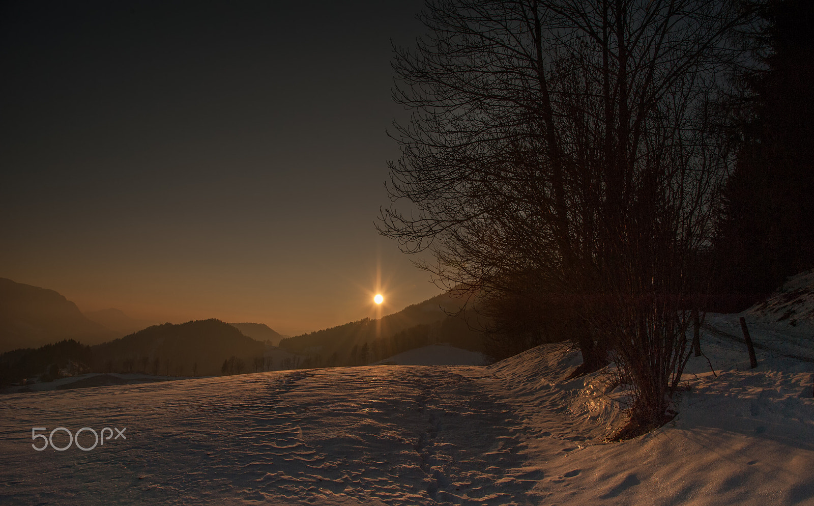 Nikon D3 sample photo. Golden snow photography