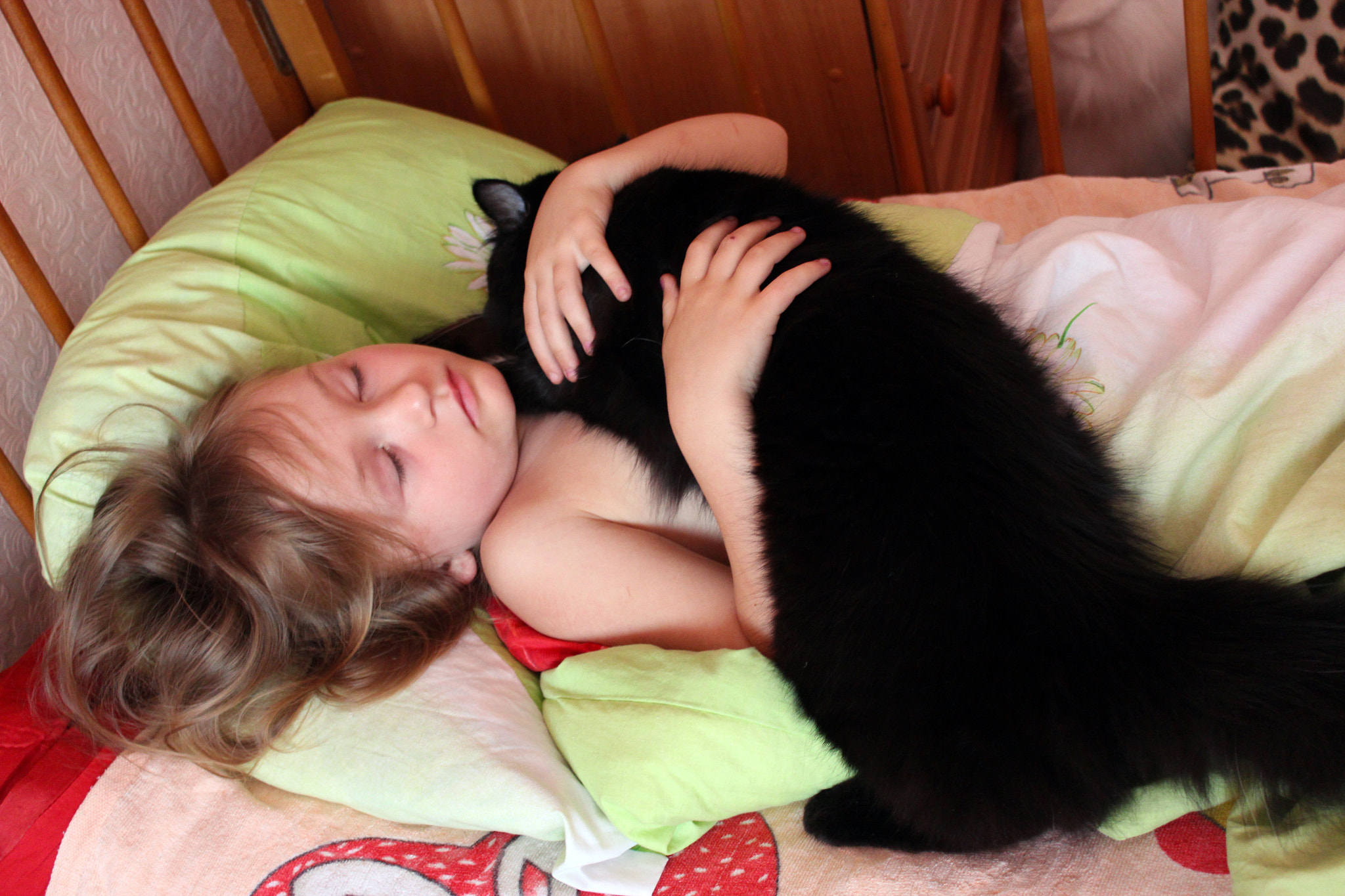 girl playing with her cat in her bed