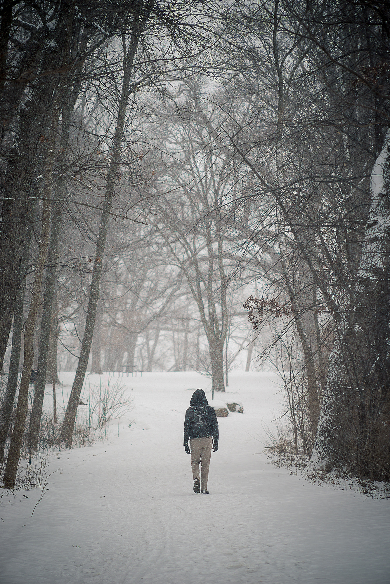 Nikon D610 + AF Nikkor 70-210mm f/4-5.6D sample photo. Walking into snow photography