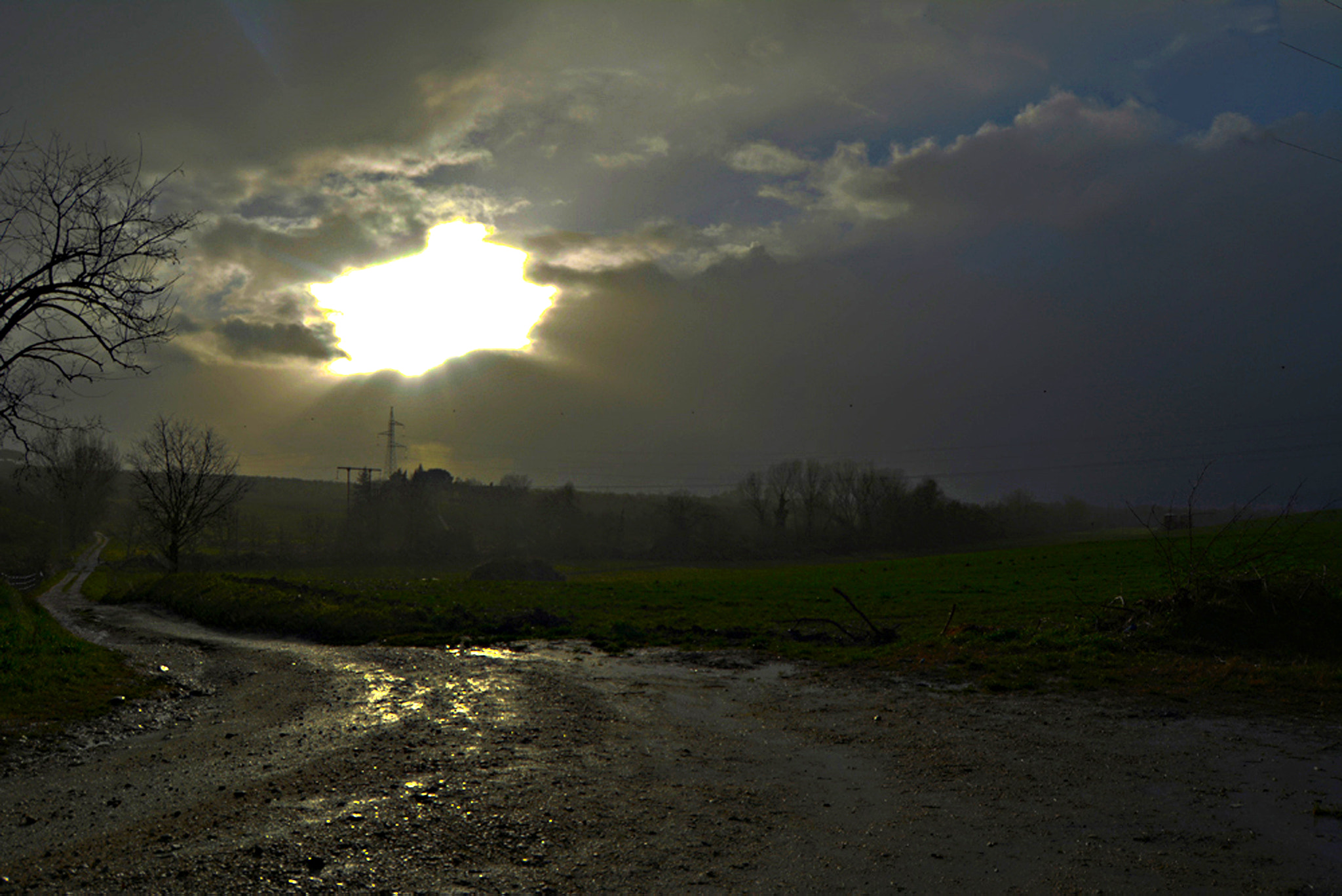 AF Zoom-Nikkor 28-70mm f/3.5-4.5D sample photo. After the rain photography