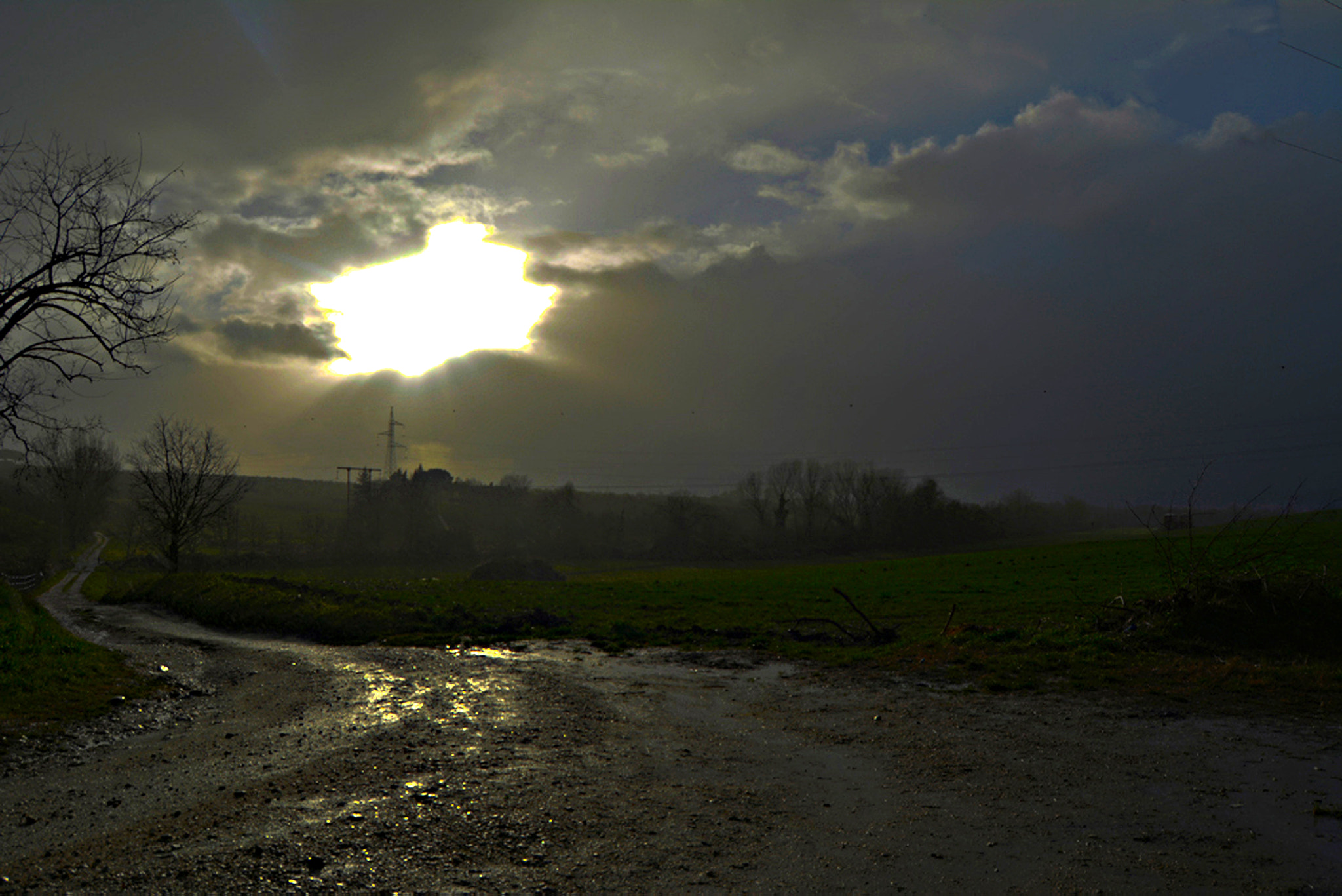 Nikon D7100 + AF Zoom-Nikkor 28-70mm f/3.5-4.5D sample photo. After the rain photography