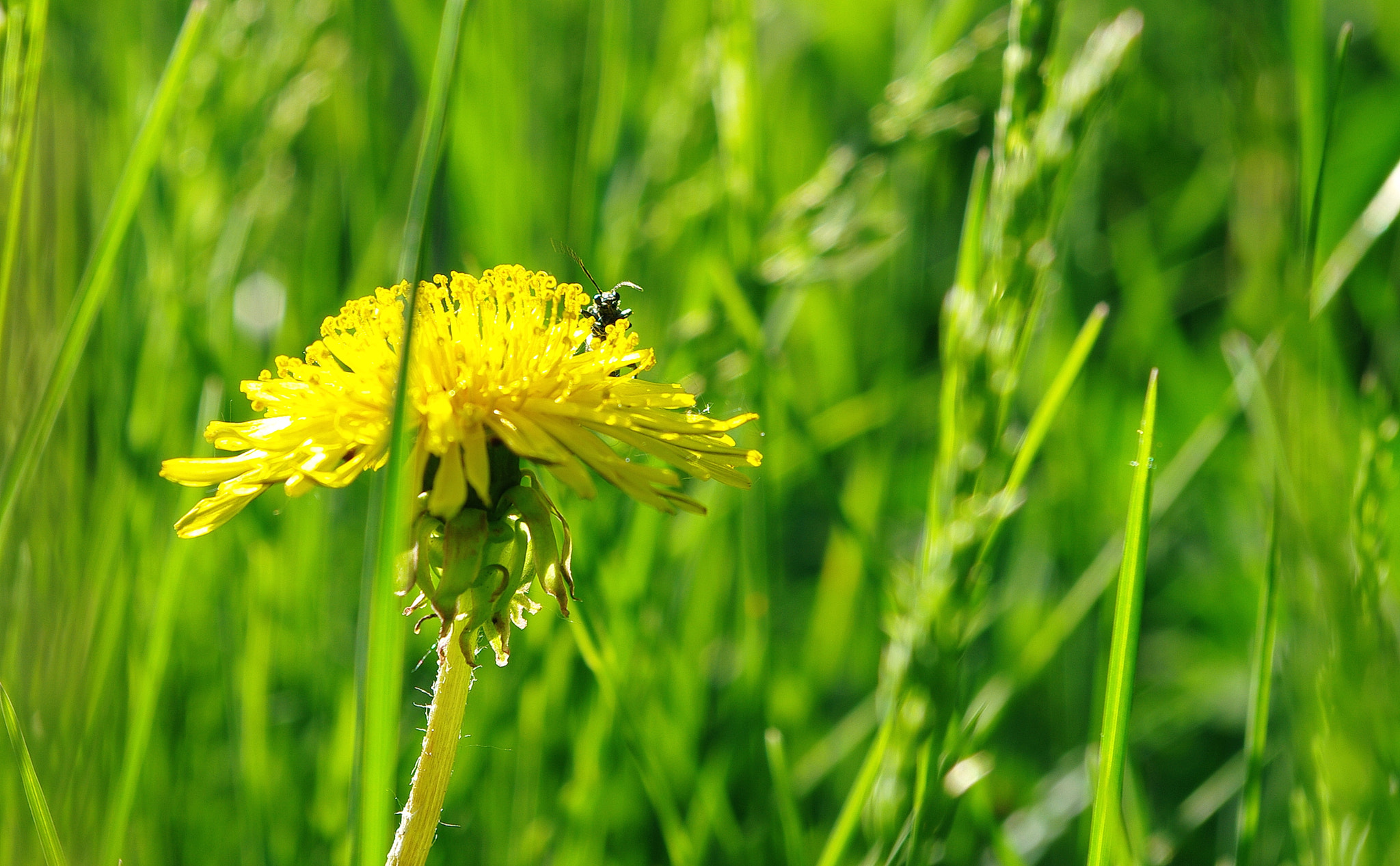 Samsung GX-20 sample photo. Another world photography