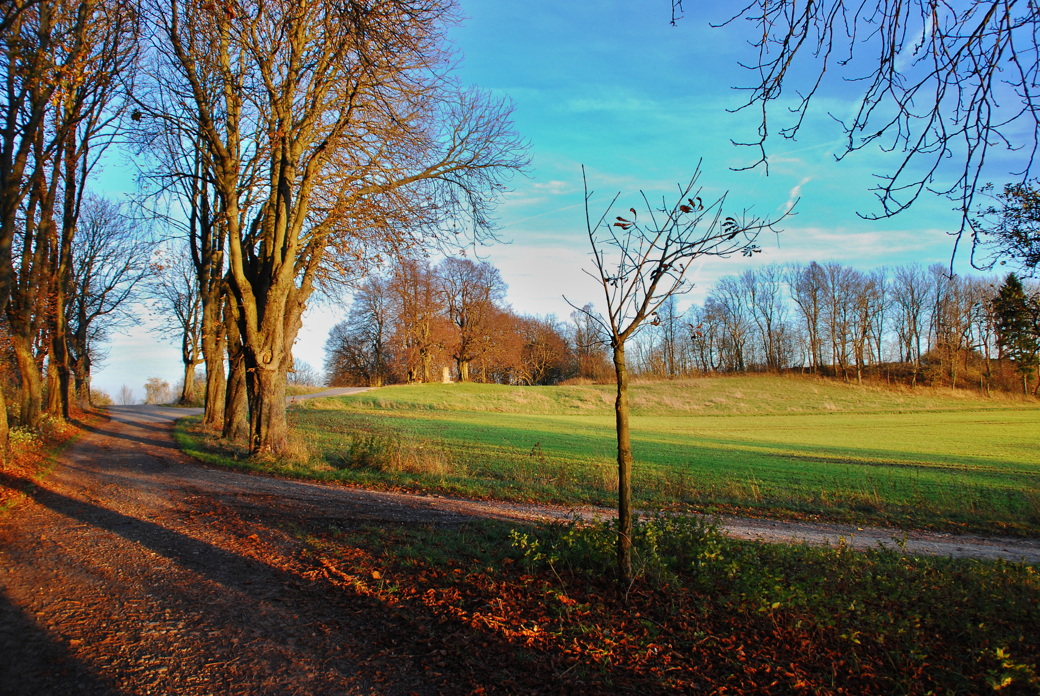 Nikon D60 sample photo. Herbst photography