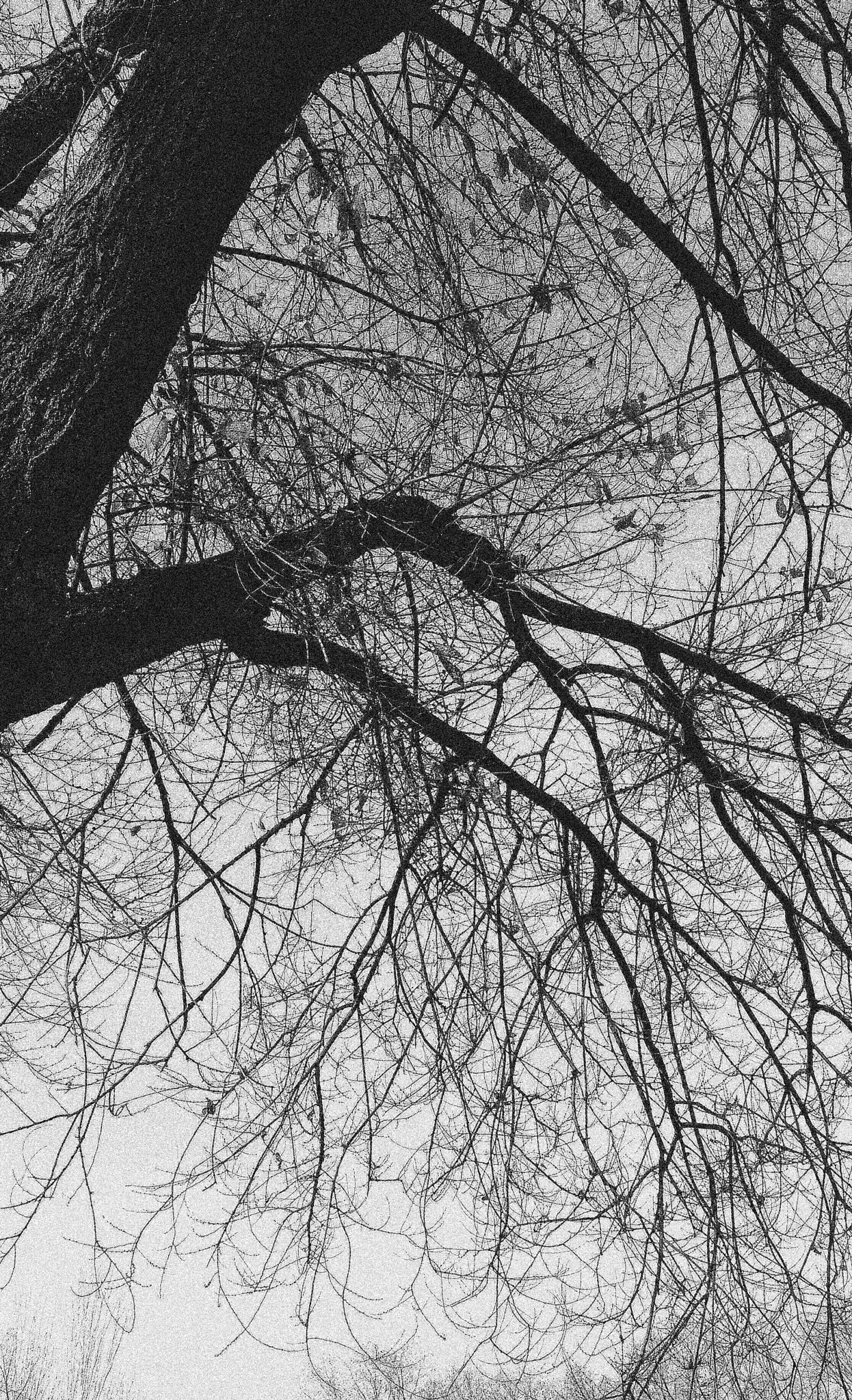 HTC DESIRE 820 sample photo