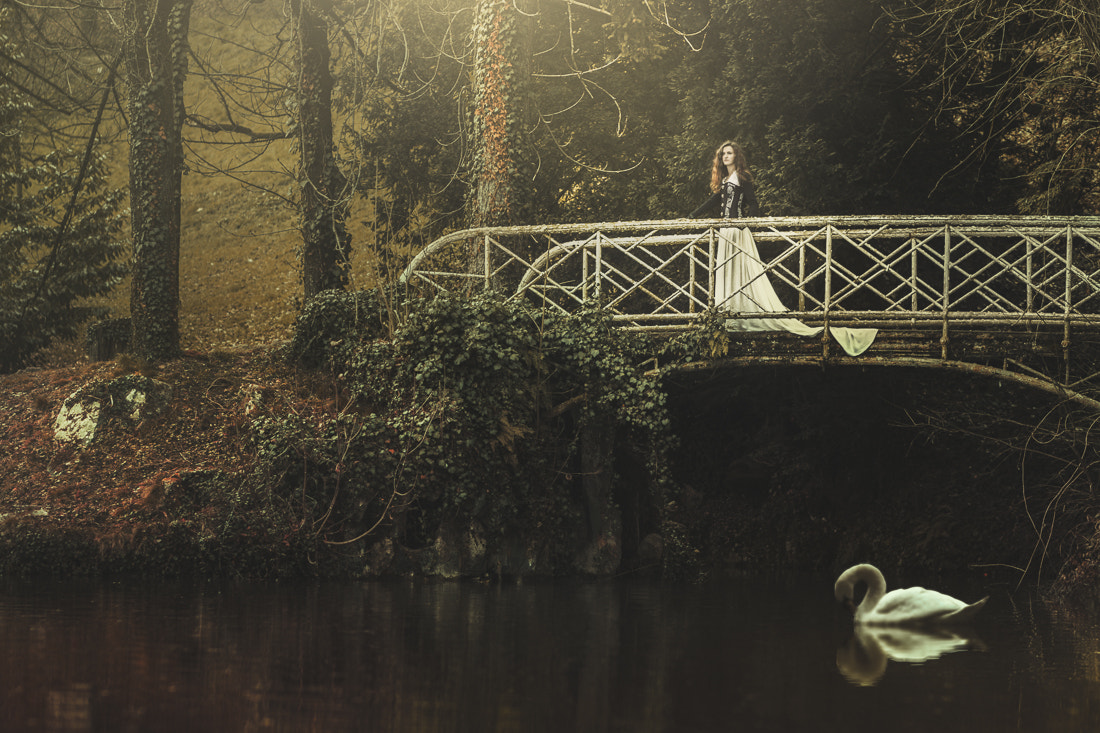 Canon EOS 60D + Canon EF 100mm F2.0 USM sample photo. - la rose des mondes - photography