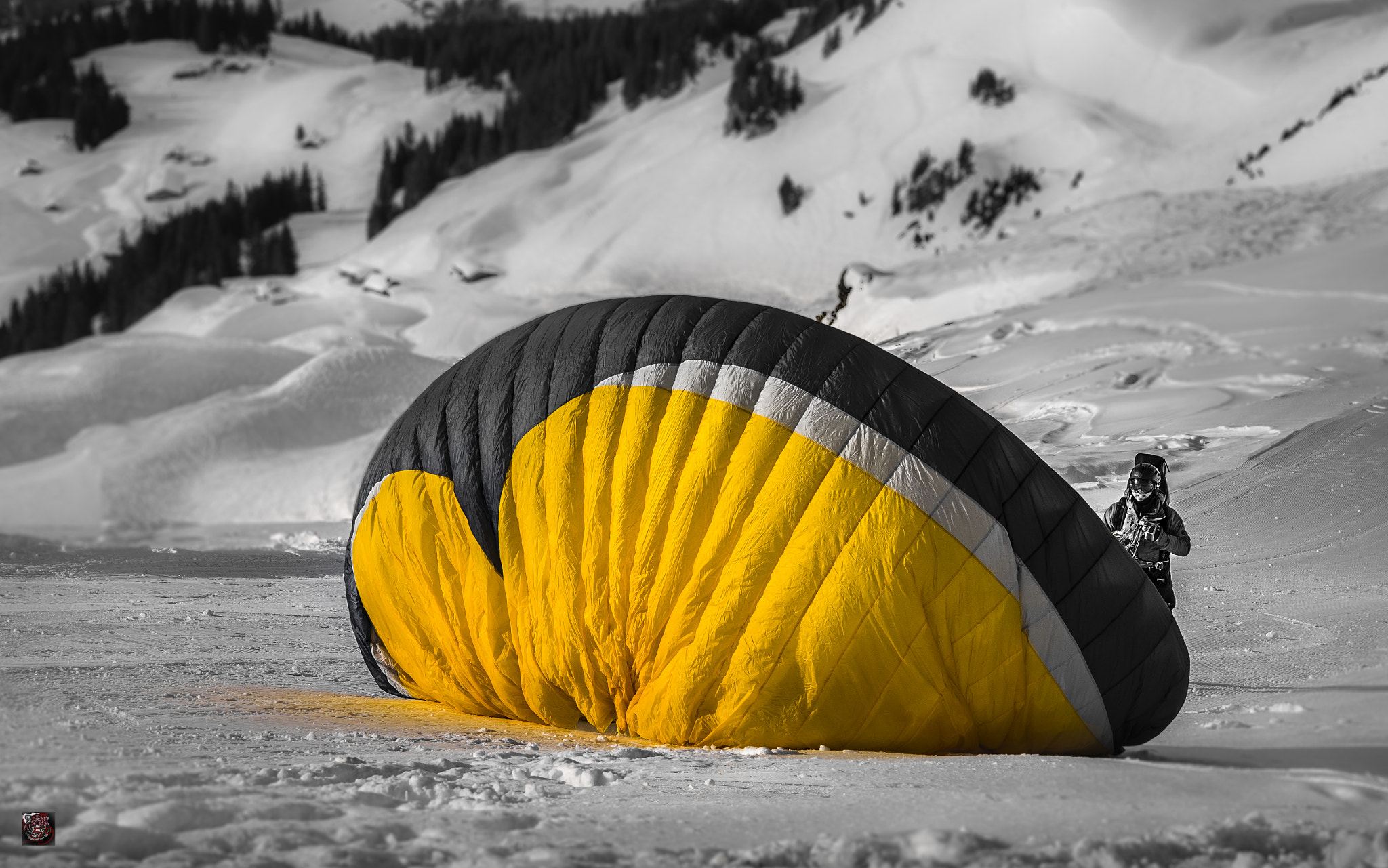 Leica M9 + Leica APO-Summicron-M 90mm F2 ASPH sample photo. Winter: if you want to be free ... get prepared to fly ... photography