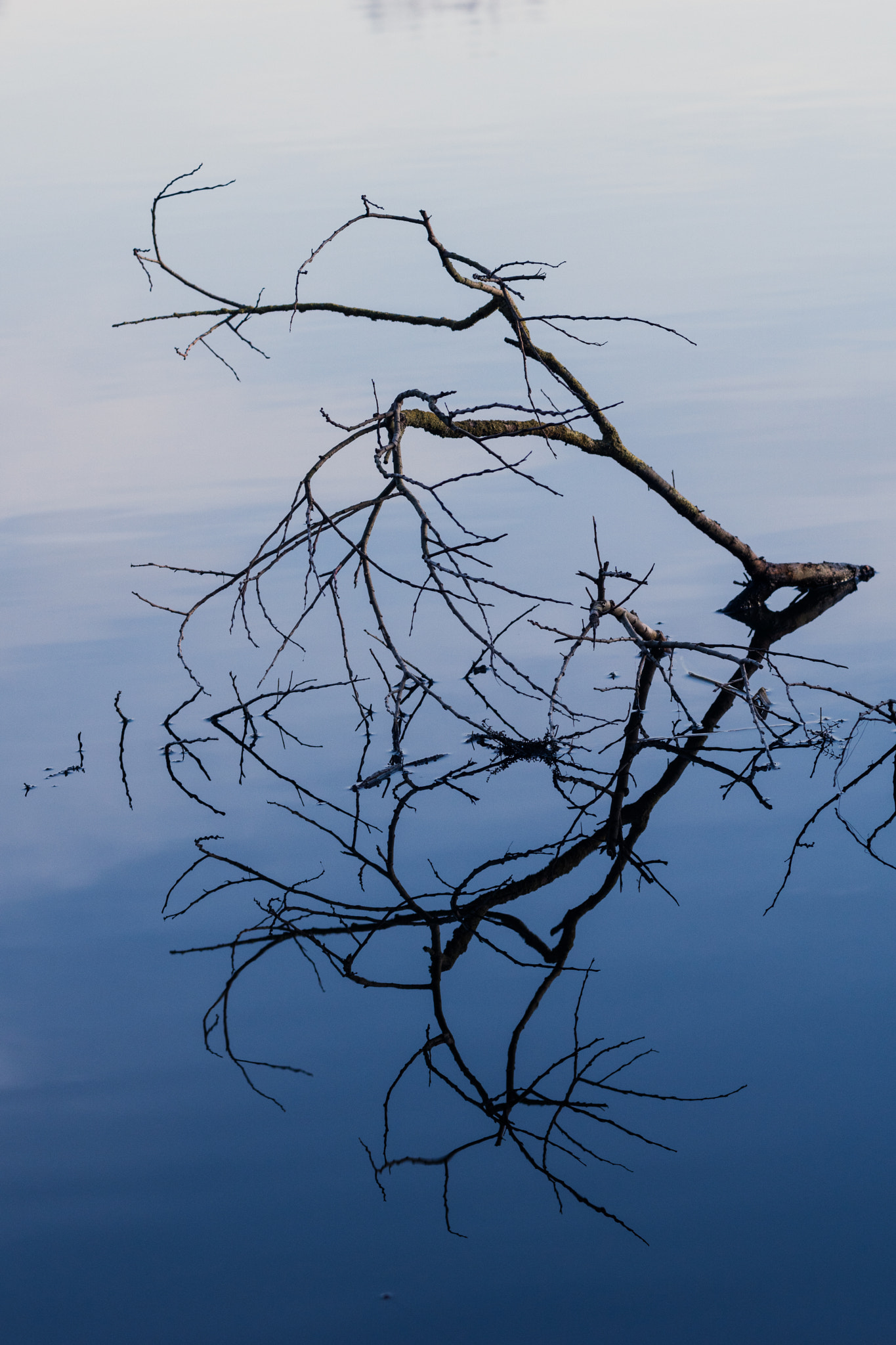 Minolta AF 80-200mm F2.8 HS-APO G sample photo. Tranquility photography