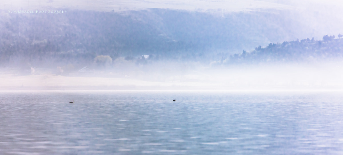 Canon EOS-1Ds Mark III sample photo. Fog on the lake photography