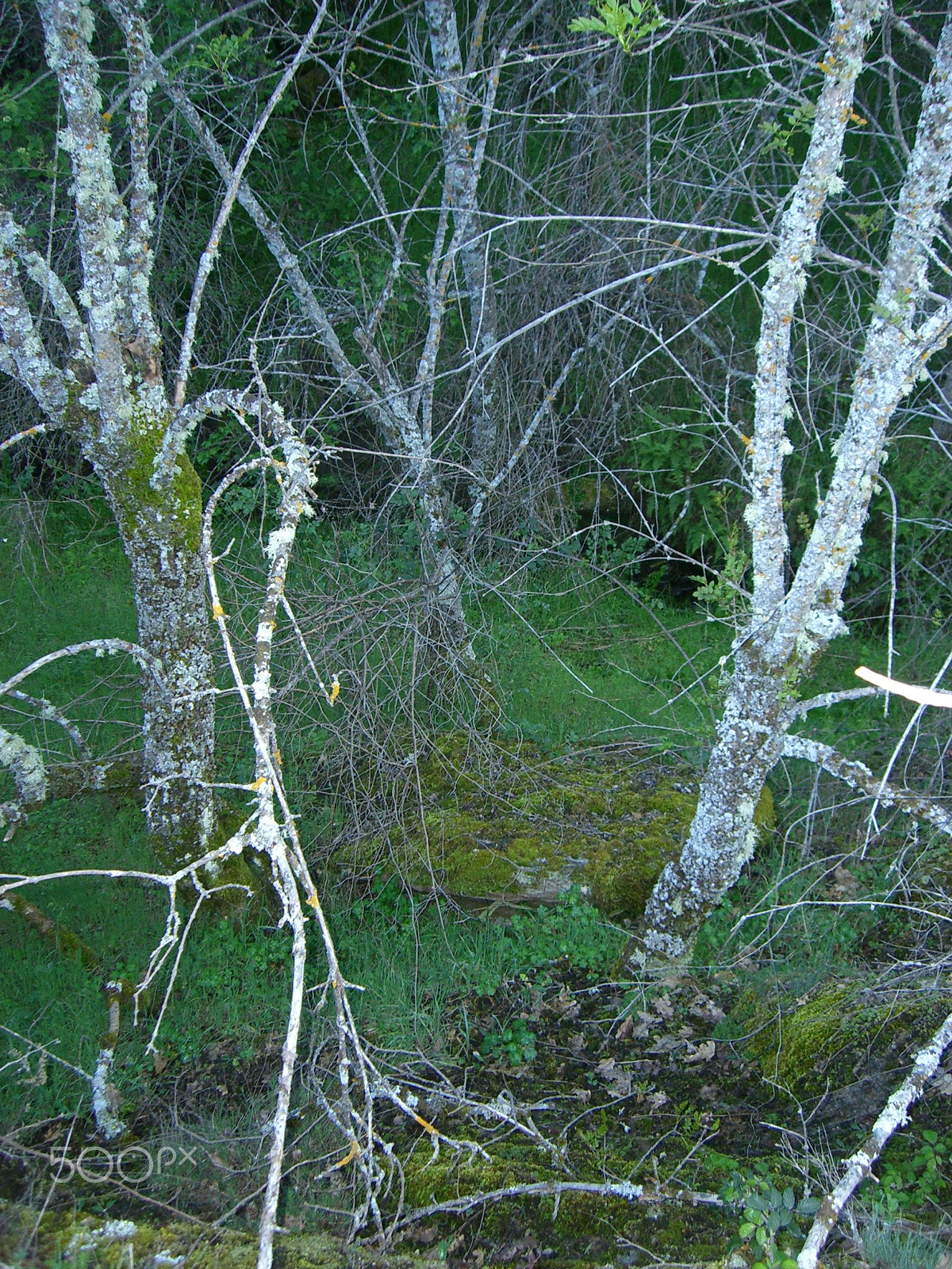 CASIO EX-S600 sample photo. Cimg2185.jpg photography