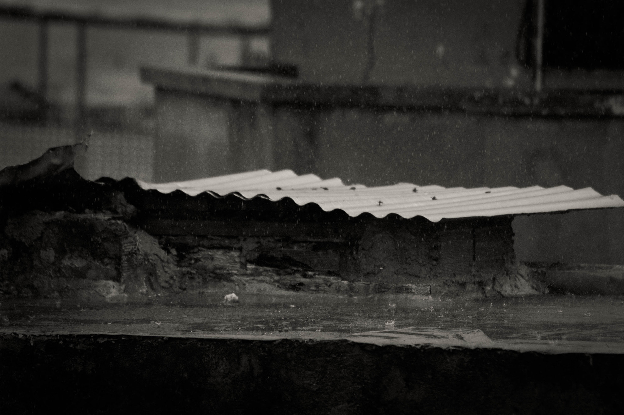 Nikon D70s sample photo. Día de lluvia photography