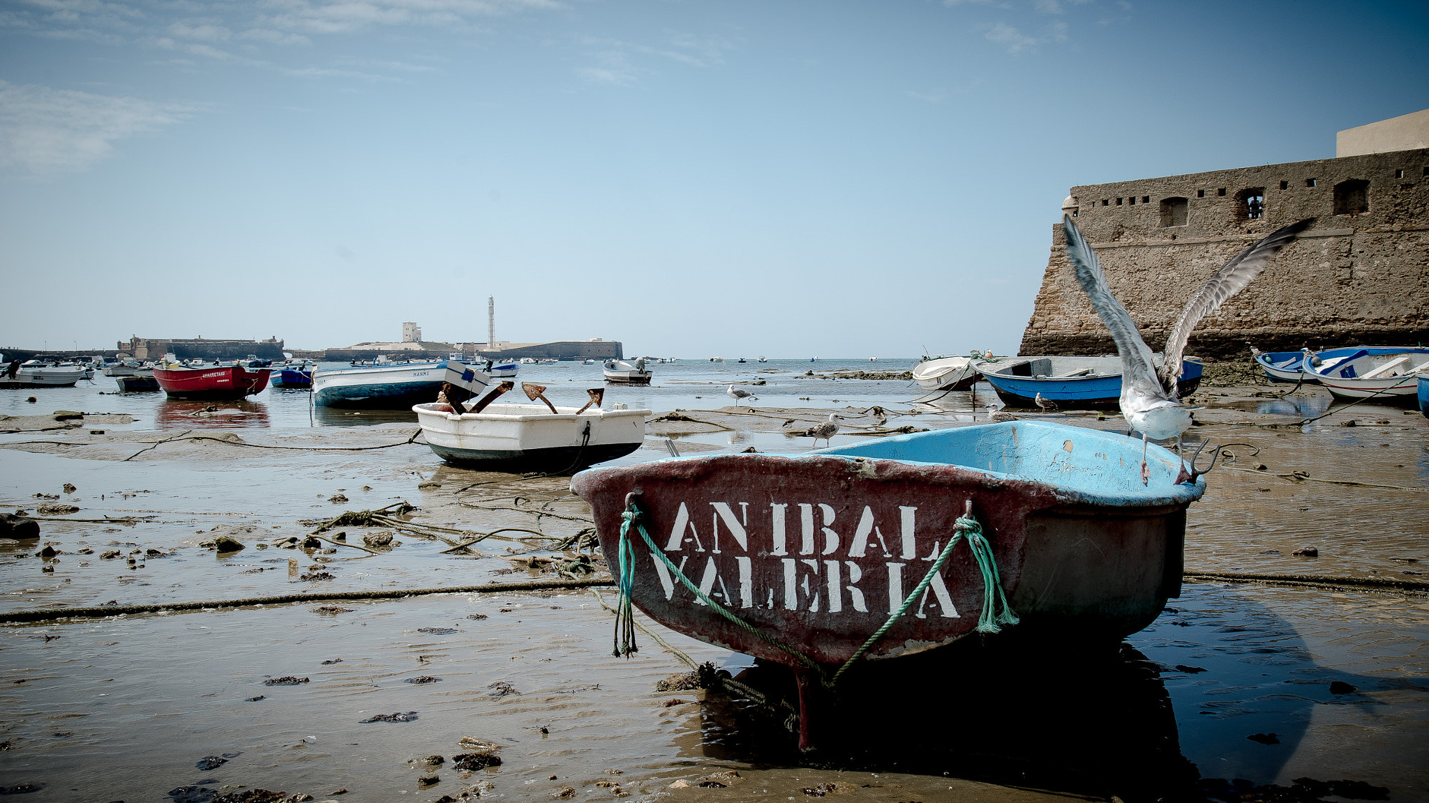 Sony a7S + Canon EF 24-105mm F4L IS USM sample photo. CÁdiz photography