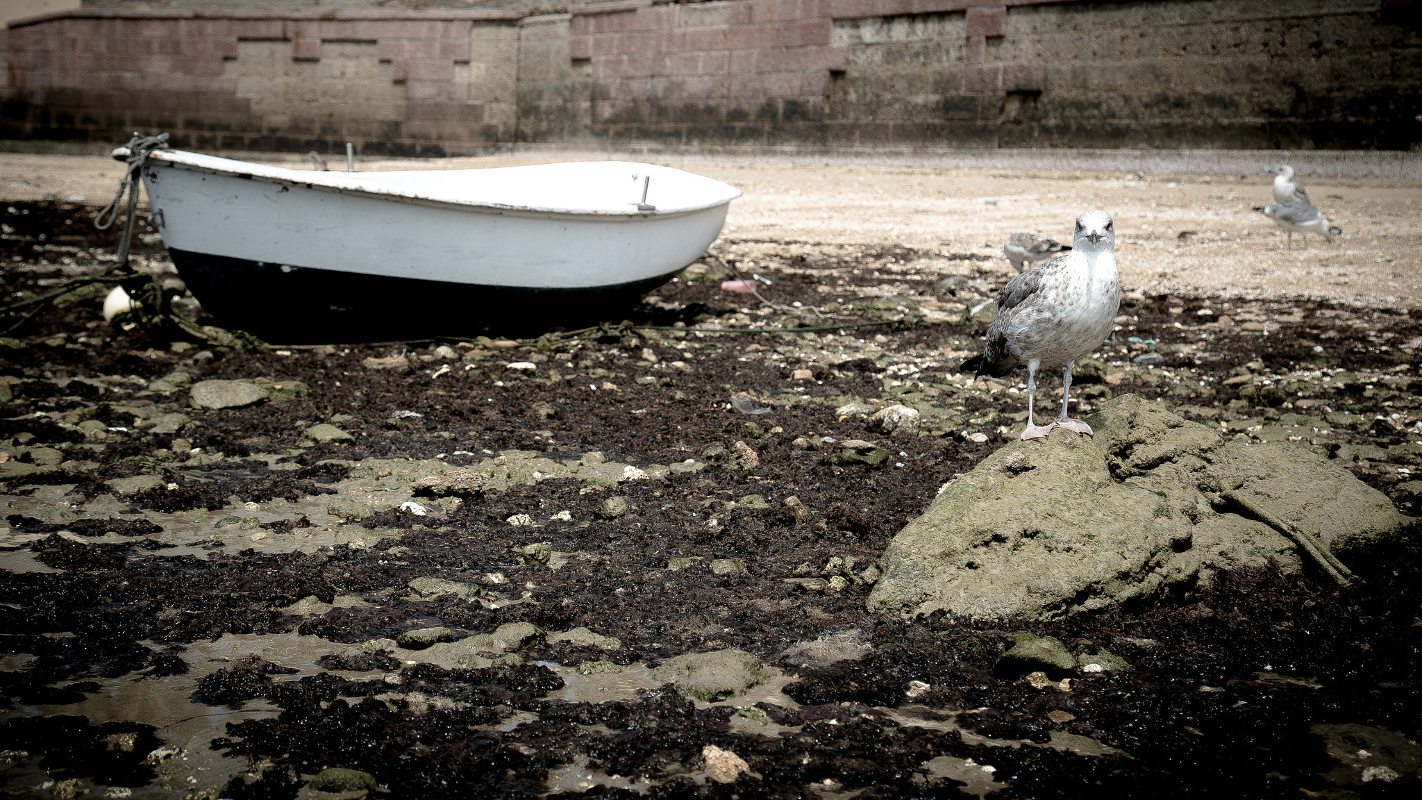 Sony a7S + Canon EF 24-105mm F4L IS USM sample photo. CÁdiz photography