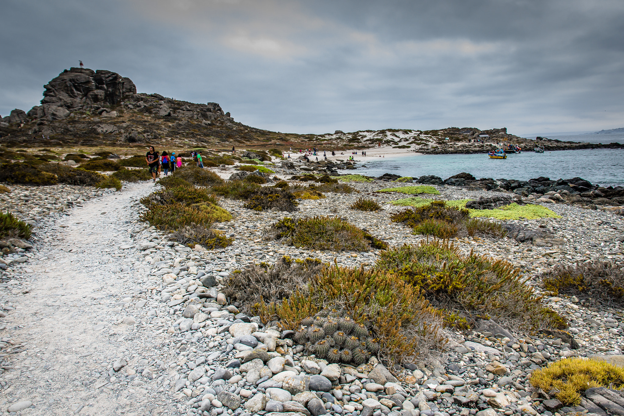 Sigma 17-70mm F2.8-4 DC Macro OS HSM | C sample photo. Isla damas photography