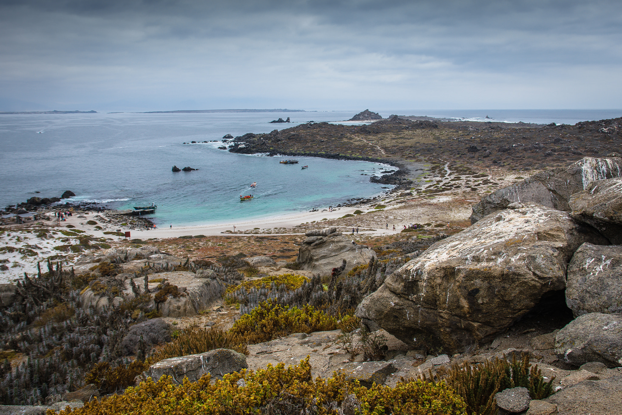 Sigma 17-70mm F2.8-4 DC Macro OS HSM | C sample photo. Isla damas photography