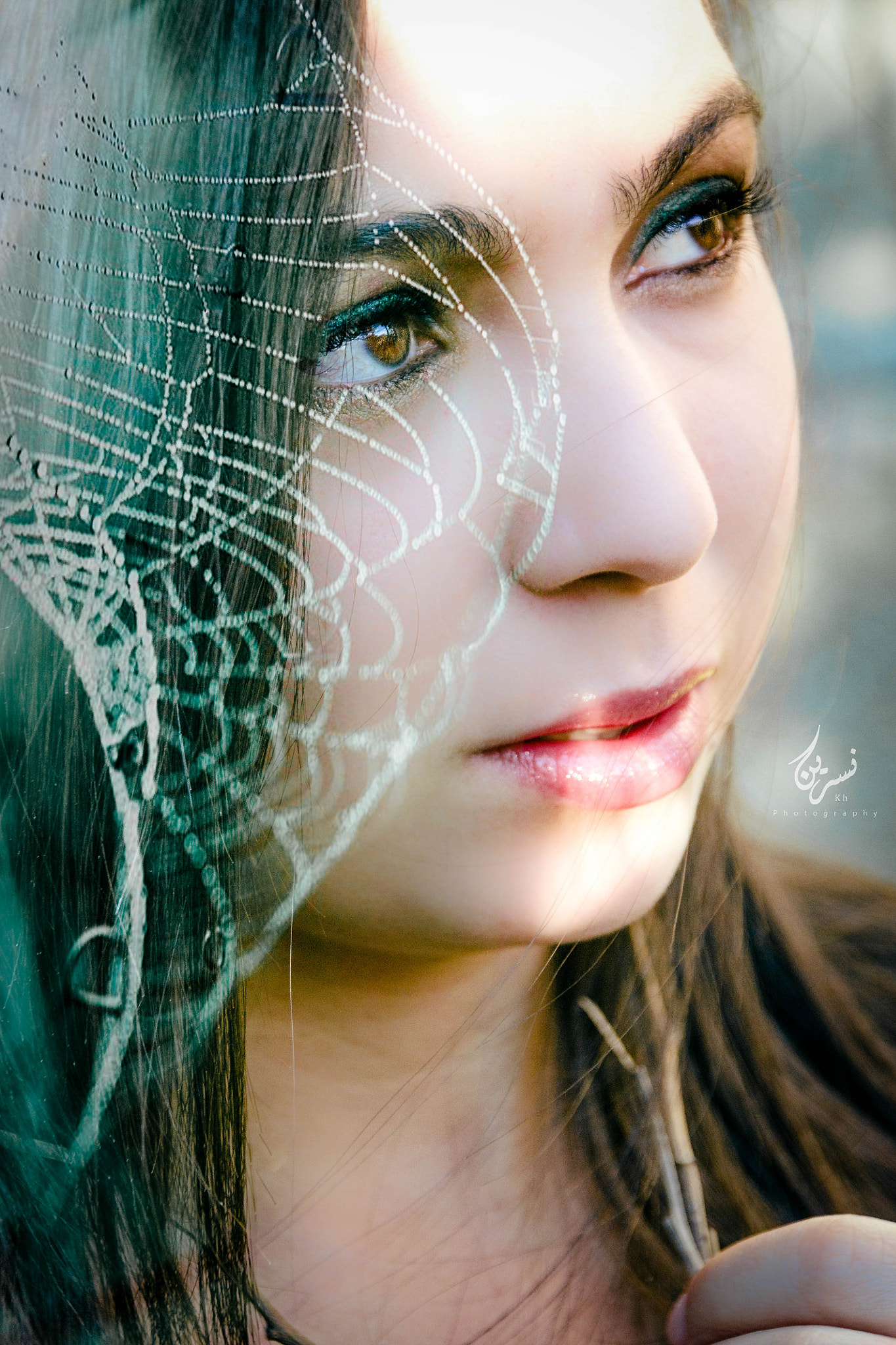 Sigma 18-200mm f/3.5-6.3 DC OS sample photo. Spiderwape photography