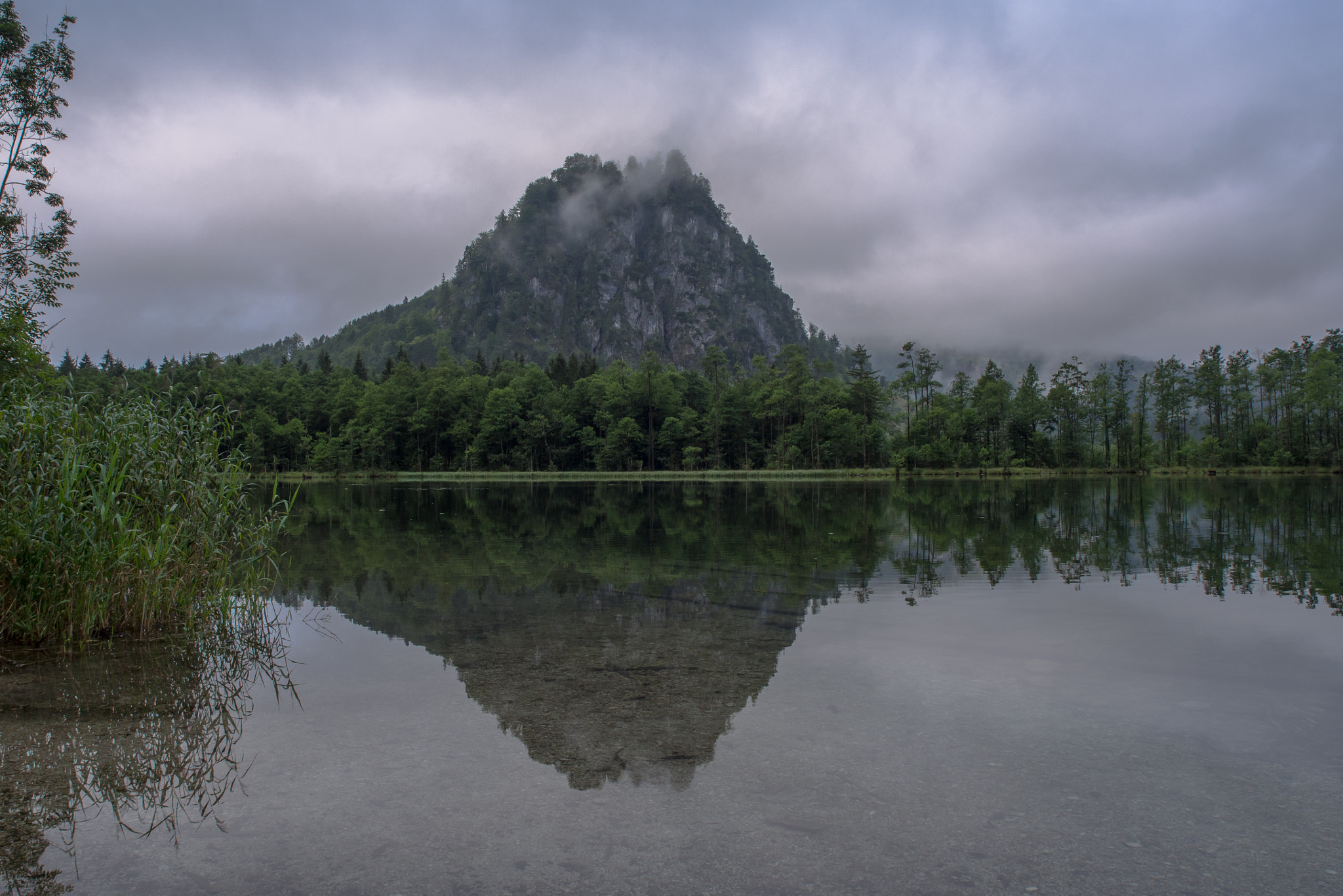 Olympus Zuiko Digital ED 12-60mm F2.8-4.0 SWD sample photo. The missing peak photography