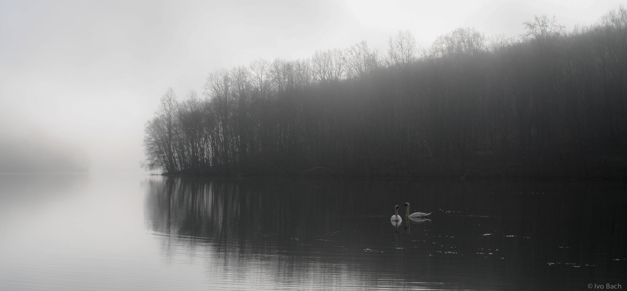Canon EOS 1000D (EOS Digital Rebel XS / EOS Kiss F) sample photo. Love on a foggy morning photography