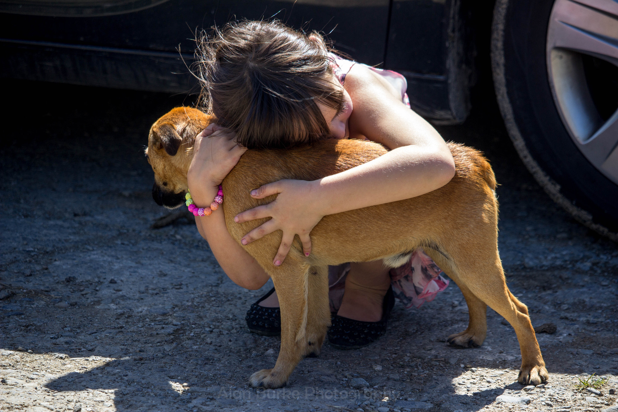Canon EOS 600D (Rebel EOS T3i / EOS Kiss X5) sample photo. Puppy love photography