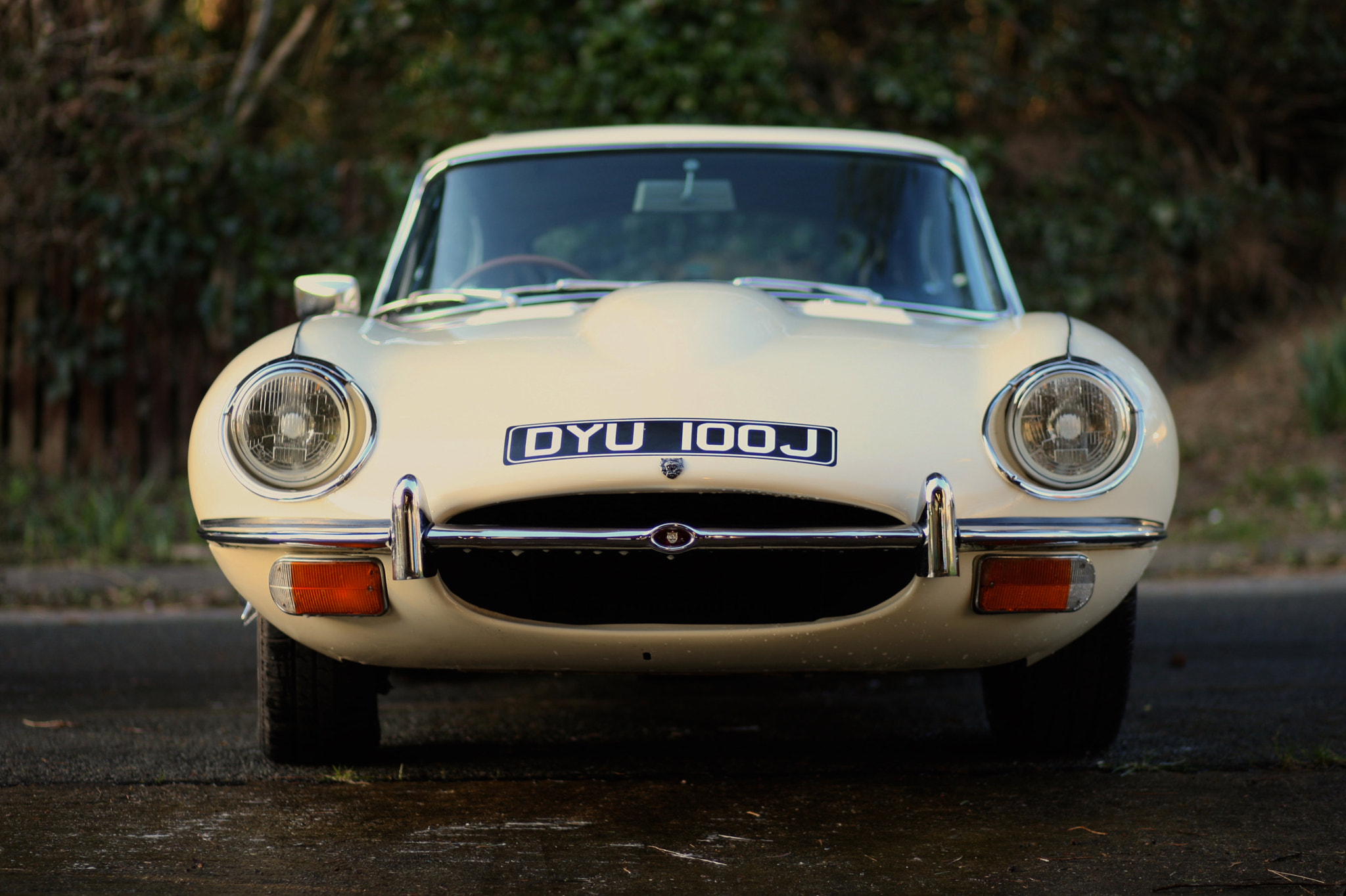 Canon EOS-1D Mark III sample photo. Jaguar e-type photography
