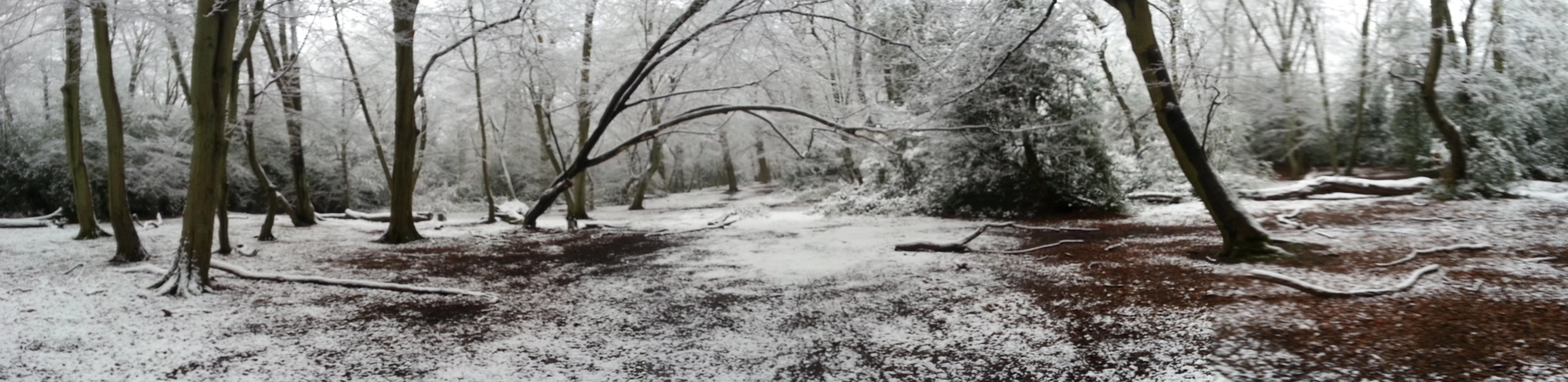 Hadley Woods 