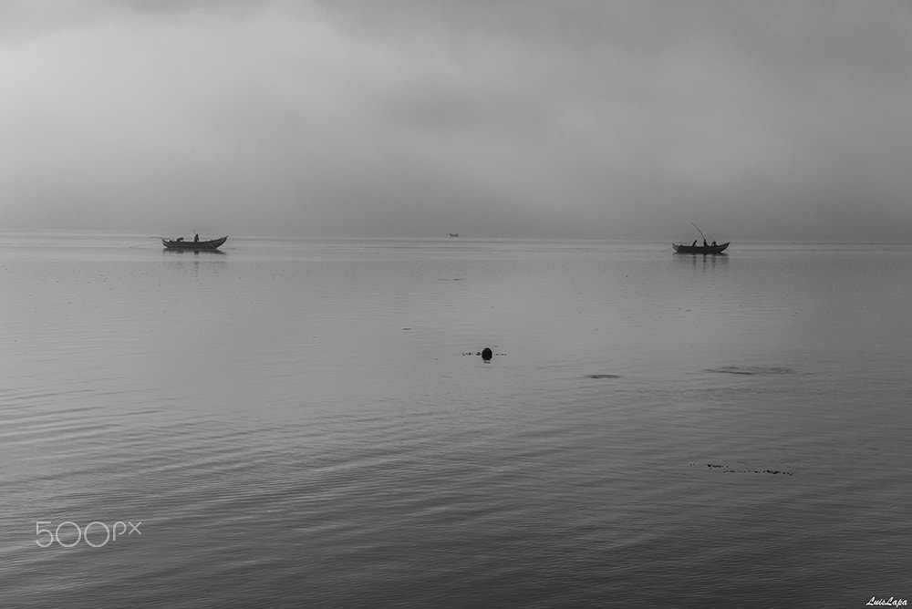 Nikon D600 sample photo. Faina photography