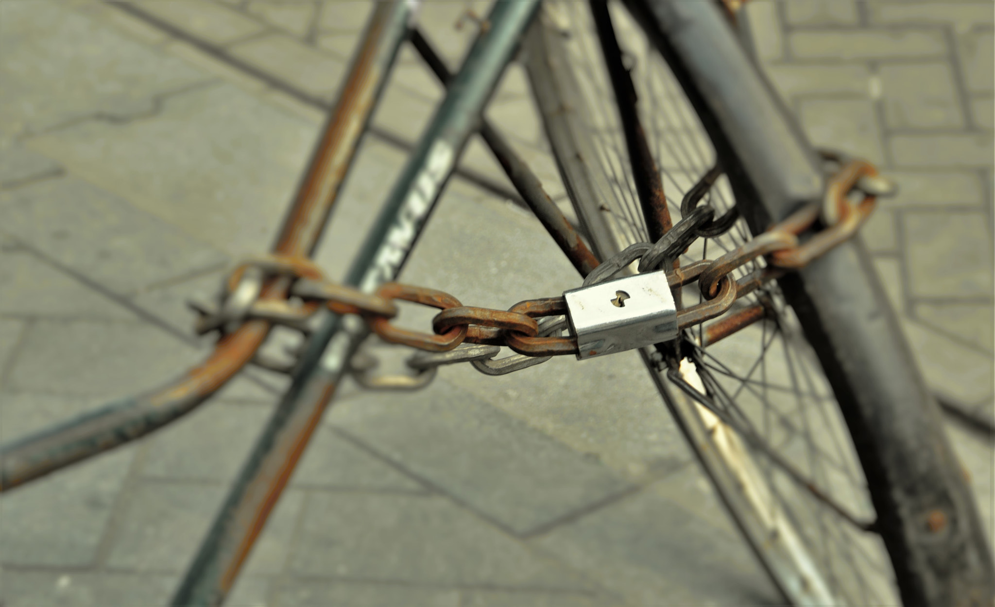 Sigma 18-250mm F3.5-6.3 DC OS HSM sample photo. A precious bike? or the lock? photography