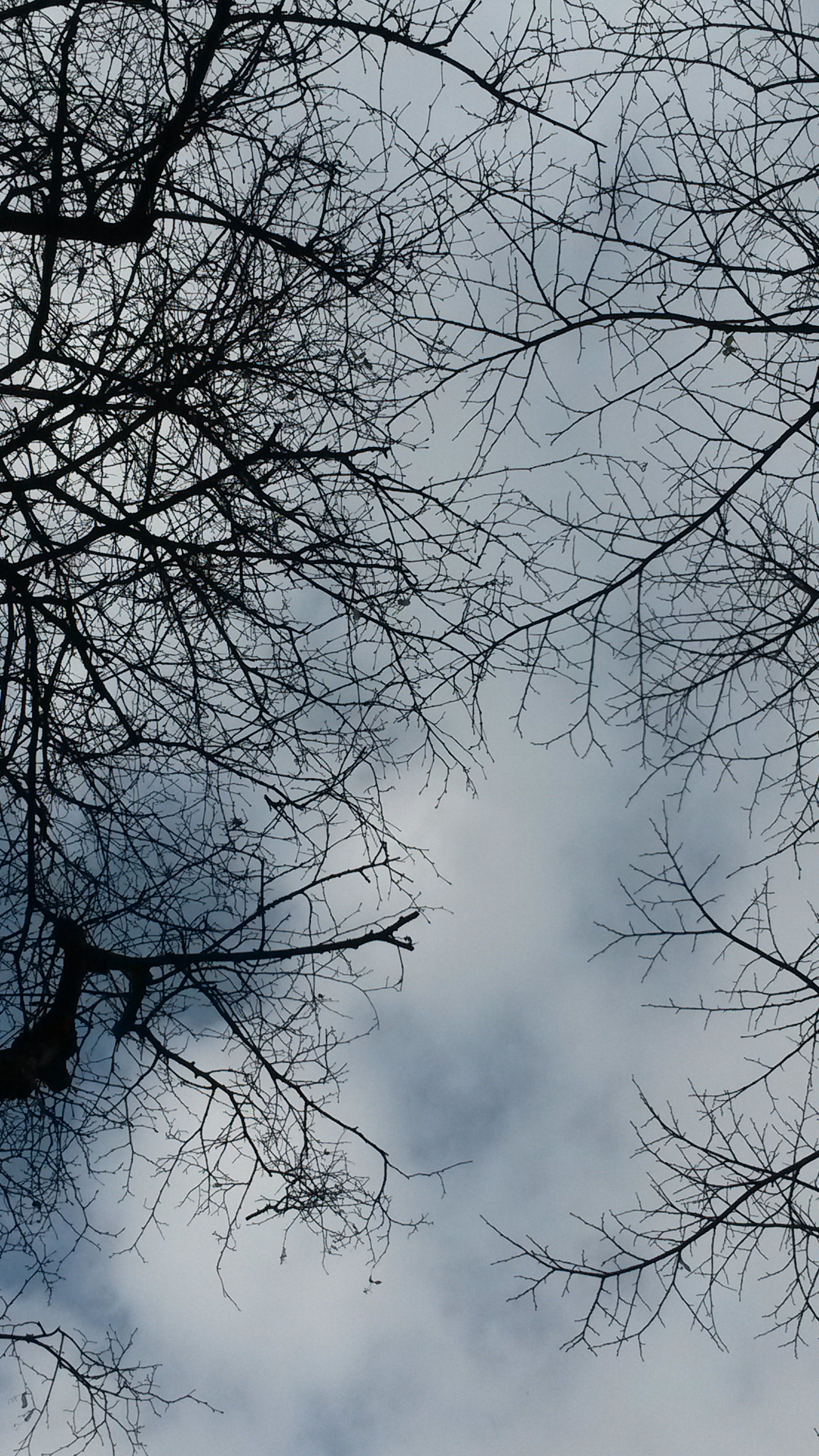 Samsung Galaxy S4 Active sample photo. Lung of sky photography