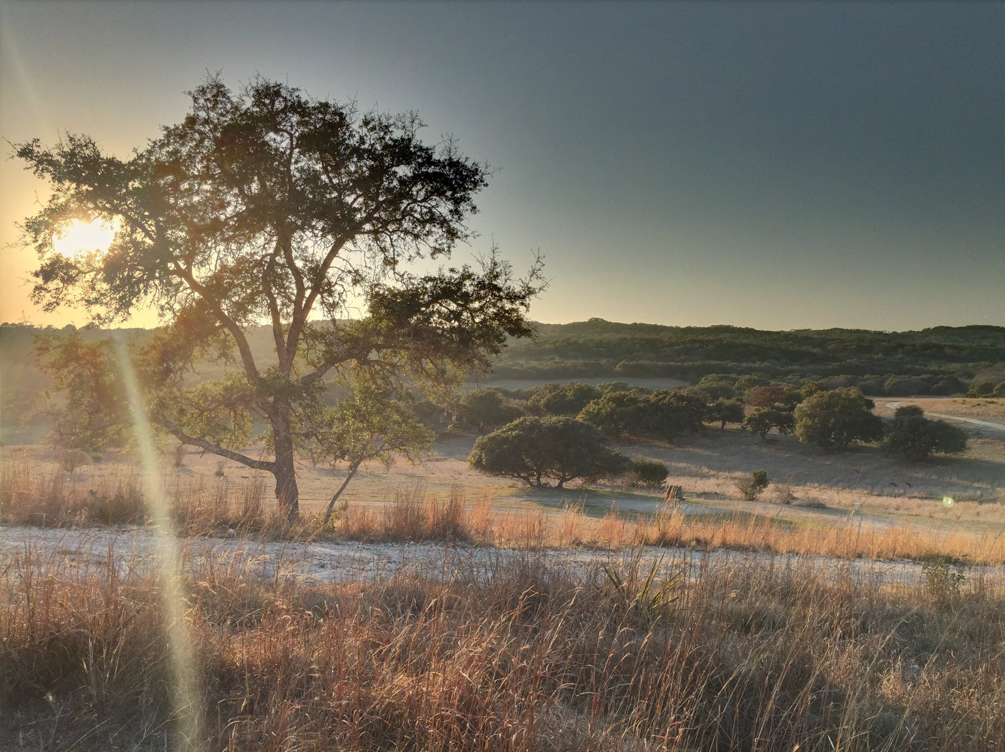 Apple iPhone sample photo. Hill country evening photography