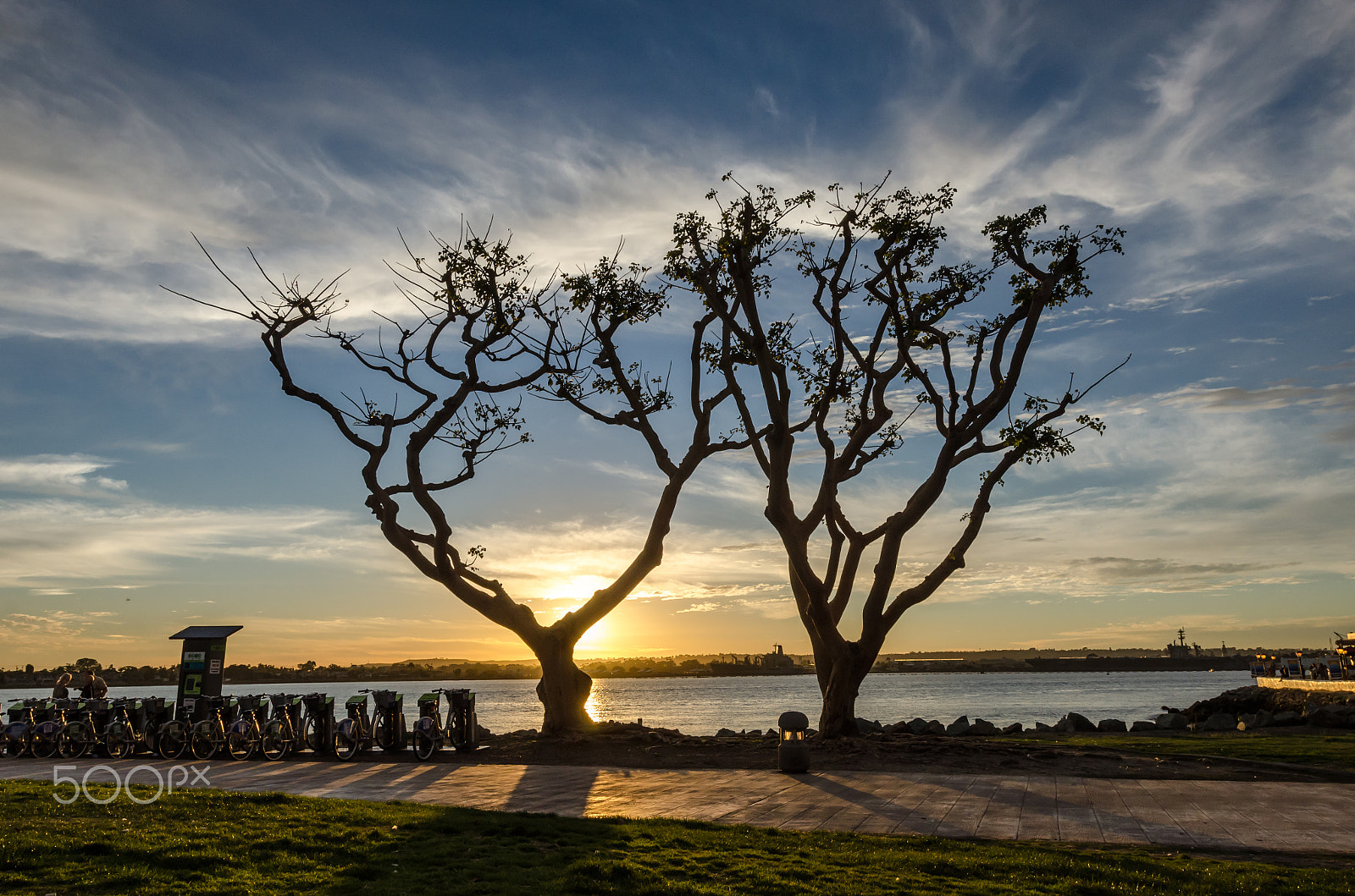 Nikon AF-S Nikkor 17-35mm F2.8D ED-IF sample photo. Sillhouette of trees at sunset photography