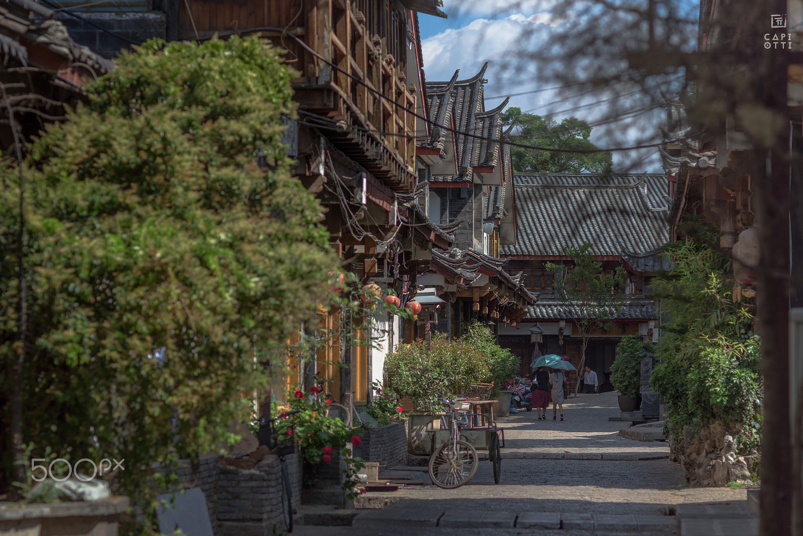 Nikon D810 + Nikon AF Nikkor 105mm F2D DC sample photo. Lijiang photography