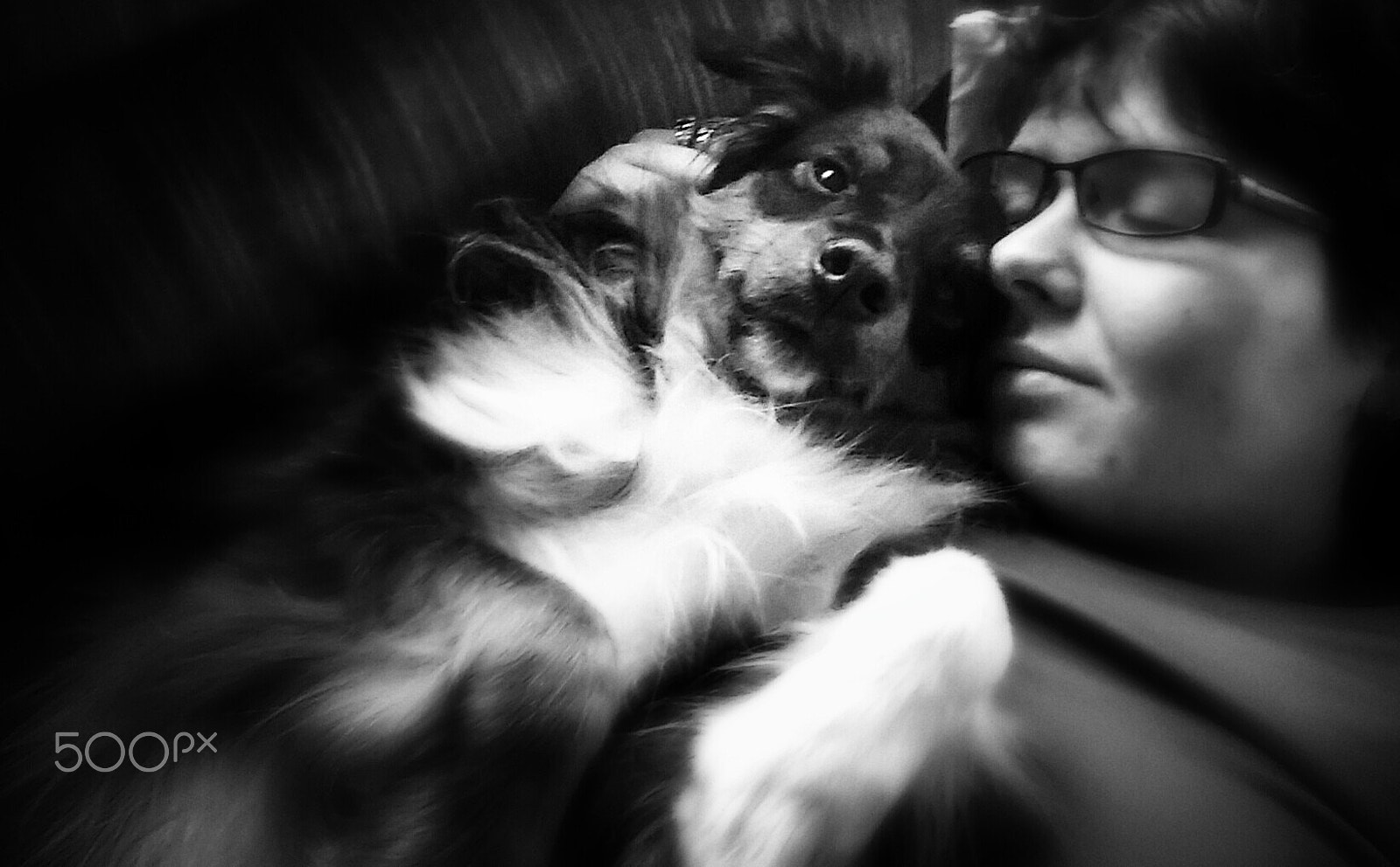 LG D80 sample photo. Puppy love photography
