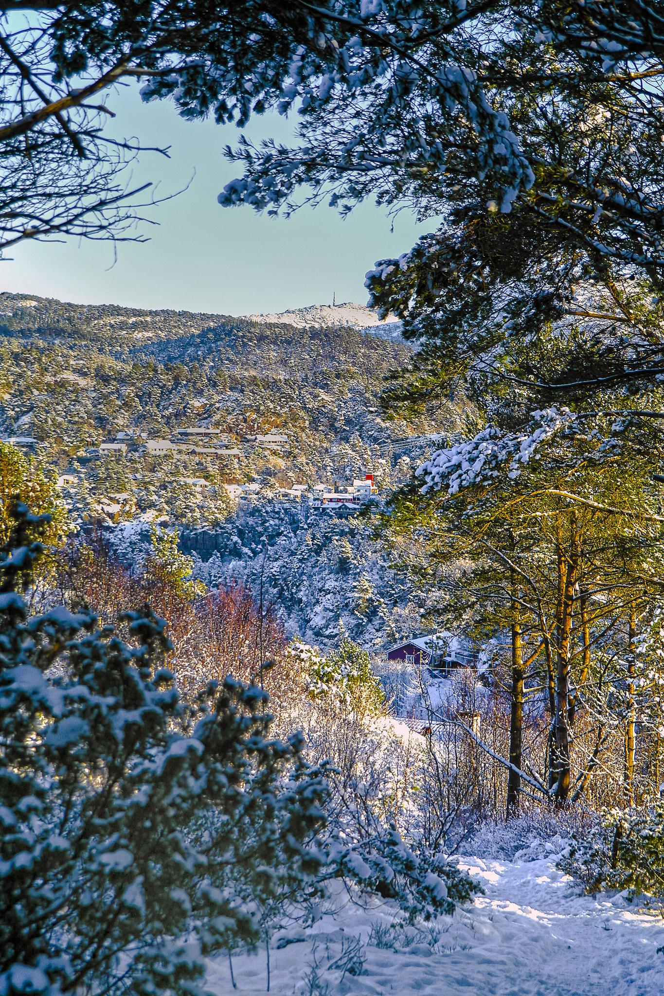 Samsung NX210 sample photo. Winterland photography