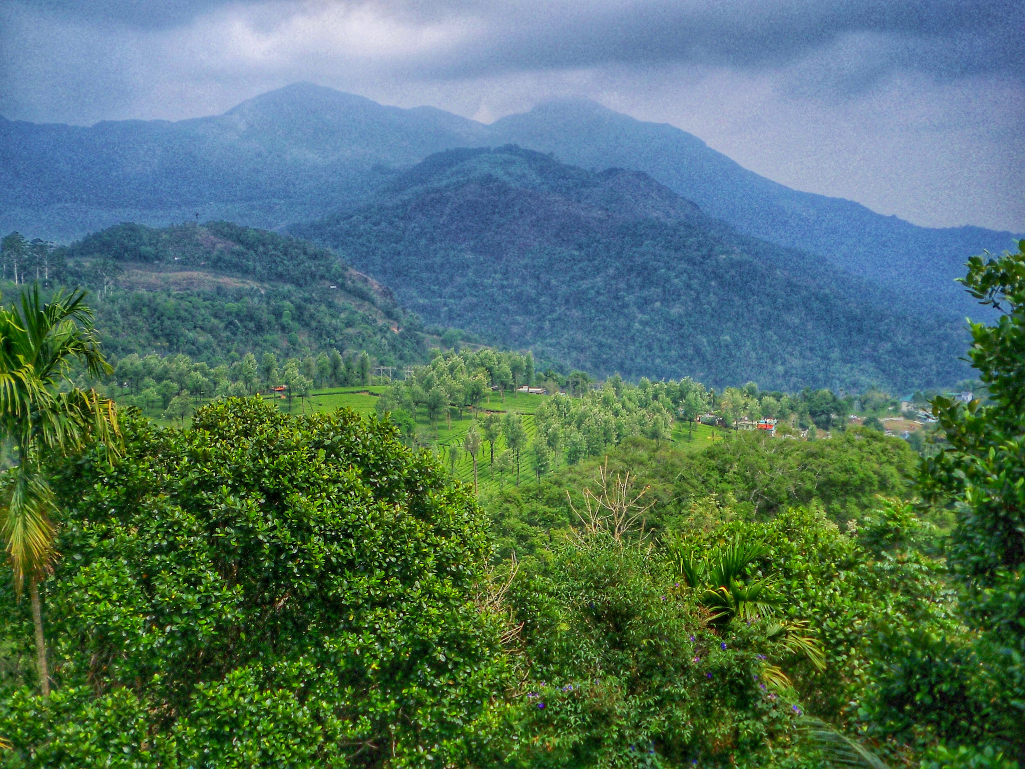 Kodak EASYSHARE M380 DIGITAL CAMERA sample photo. Kerala_munnar ... from a moving bus.. photography