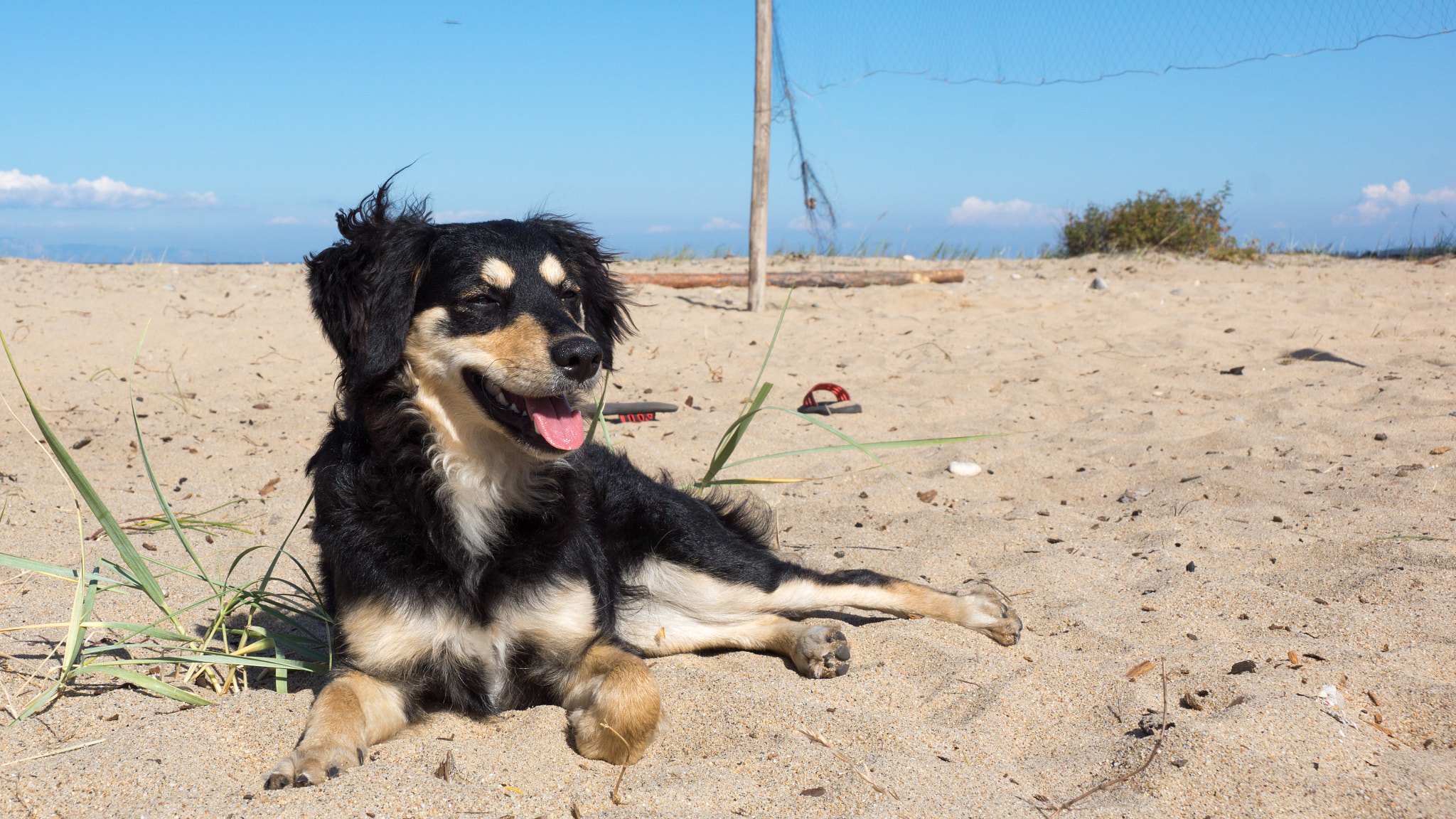 Sony SLT-A65 (SLT-A65V) sample photo. Sunbathe photography