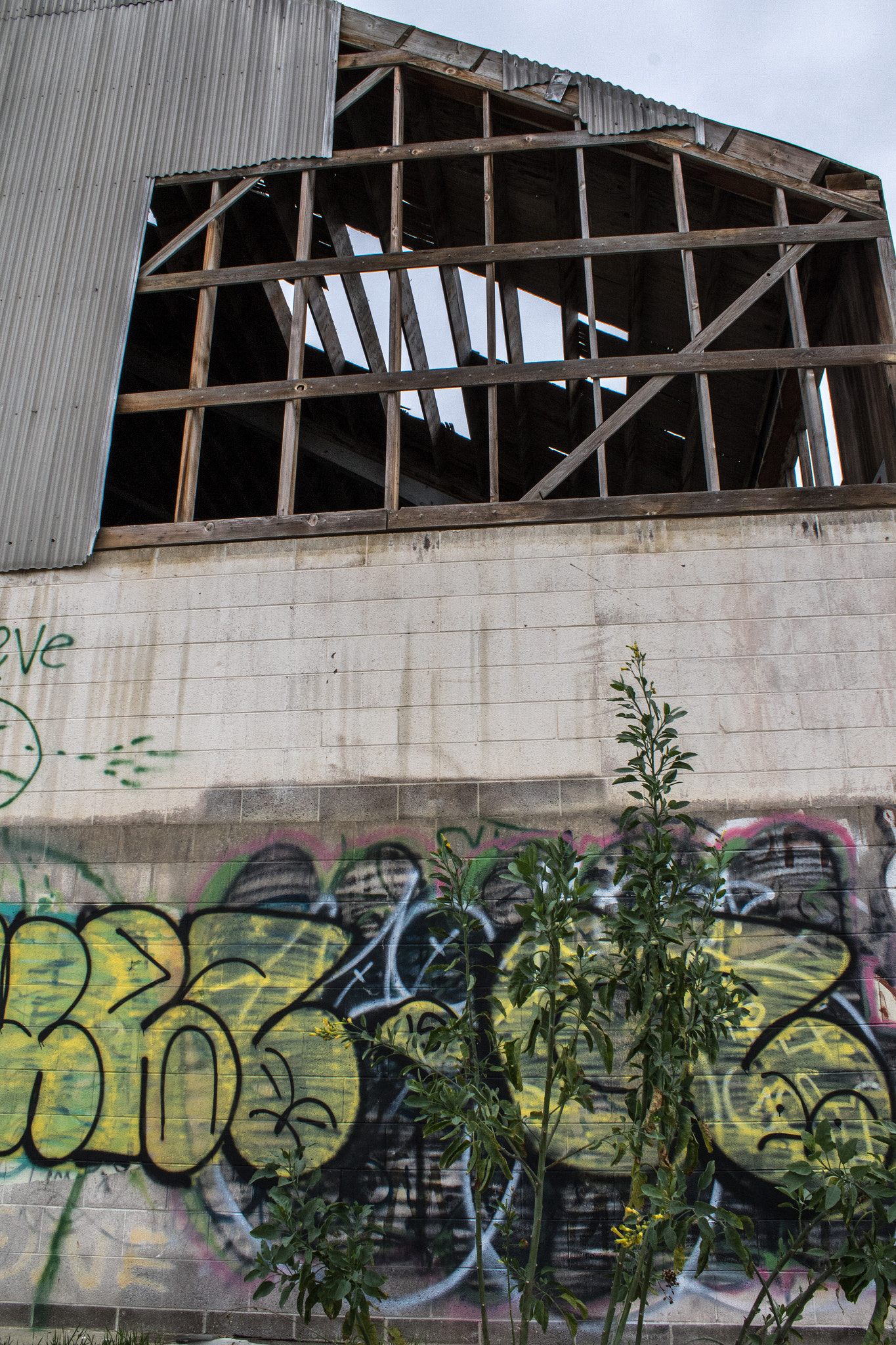 Canon EOS 7D Mark II + Canon EF-S 18-55mm F3.5-5.6 IS sample photo. Ventura oil refinery (abandoned) photography
