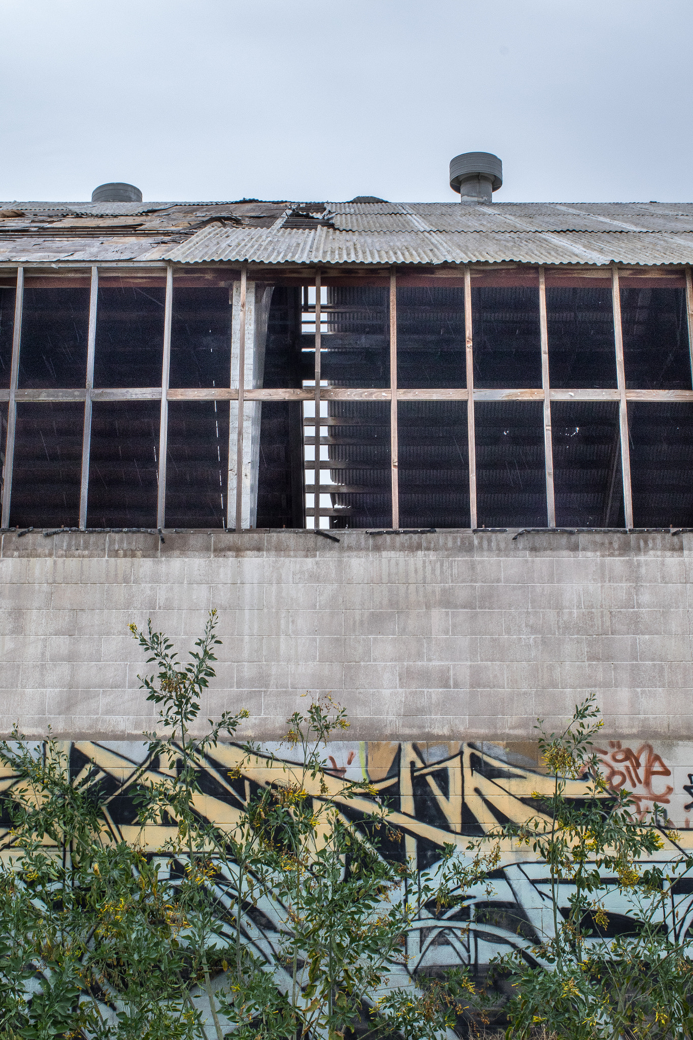 Canon EF 35mm F1.4L USM sample photo. Ventura oil refinery (abandoned) photography