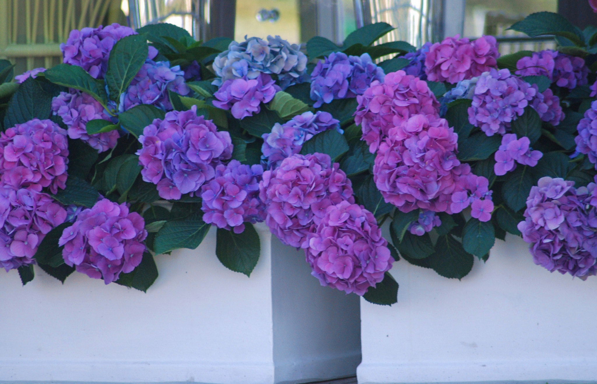 Nikon D60 sample photo. Spring photography