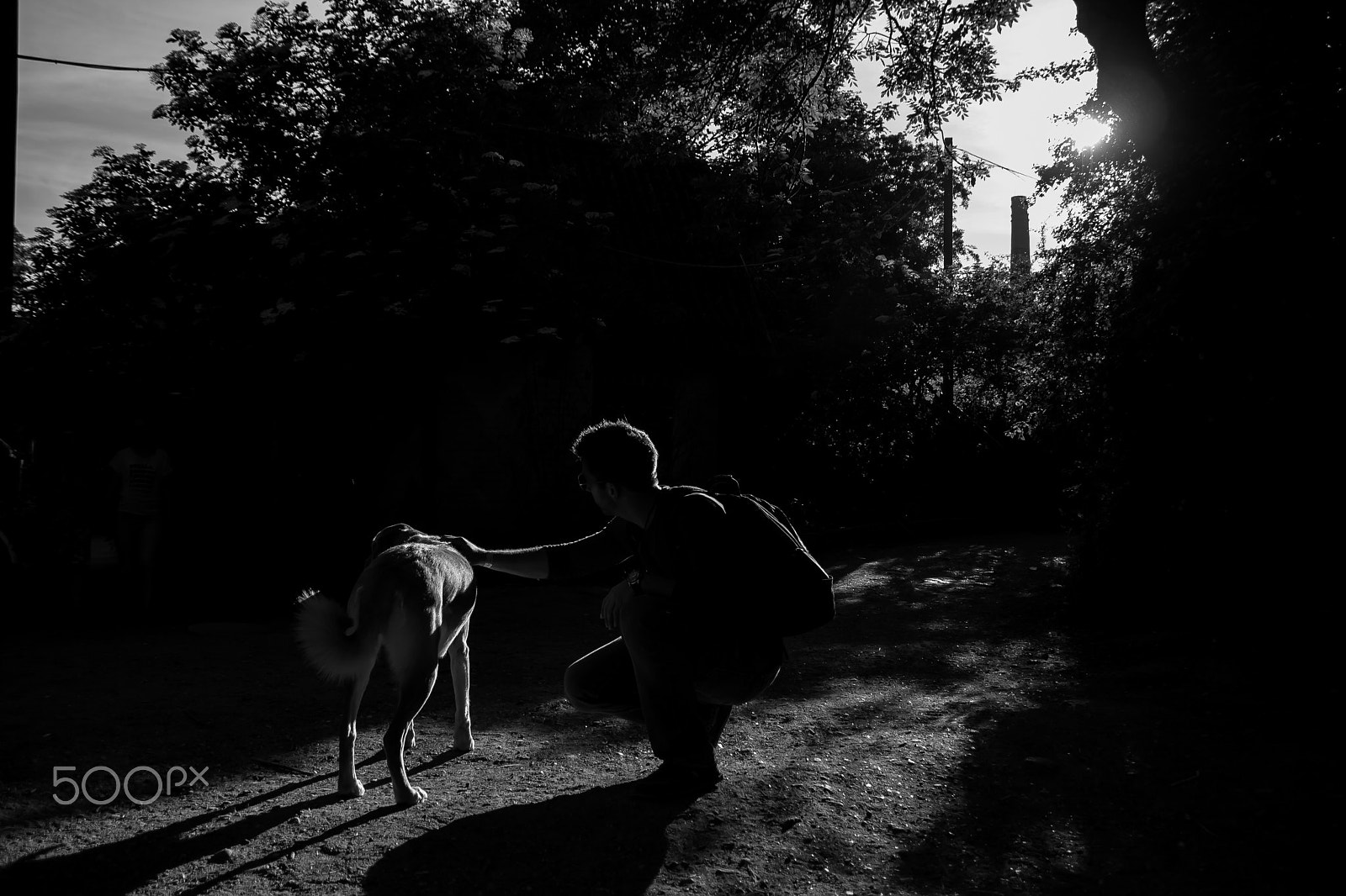 Canon EOS 400D (EOS Digital Rebel XTi / EOS Kiss Digital X) sample photo. Man's best friend photography