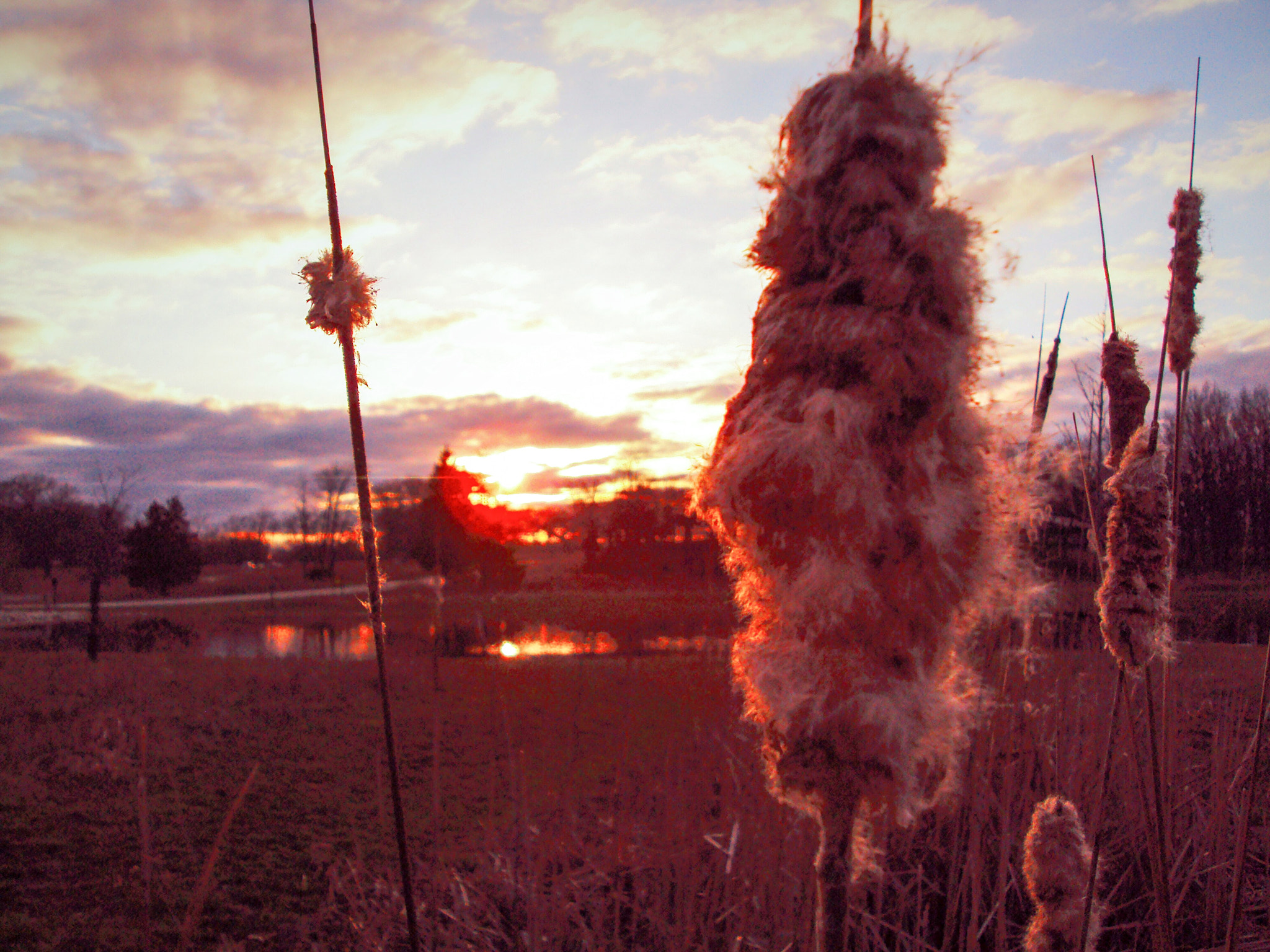 Sony DSC-S980 sample photo. Lake county sunsets photography
